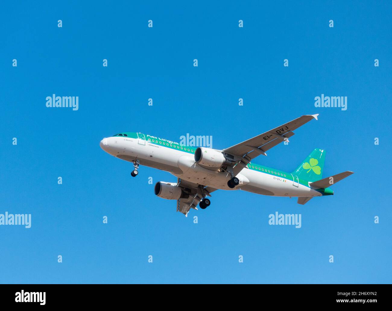 Aer Lingus Airbus A320 gegen blauen Himmel. Stockfoto