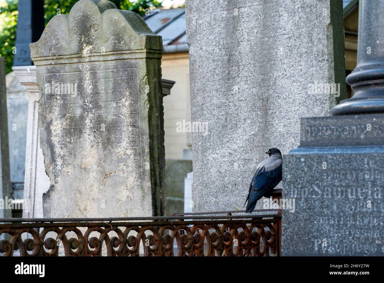 Warschau, Polen, august 2021 - jüdischer Friedhof Stockfoto