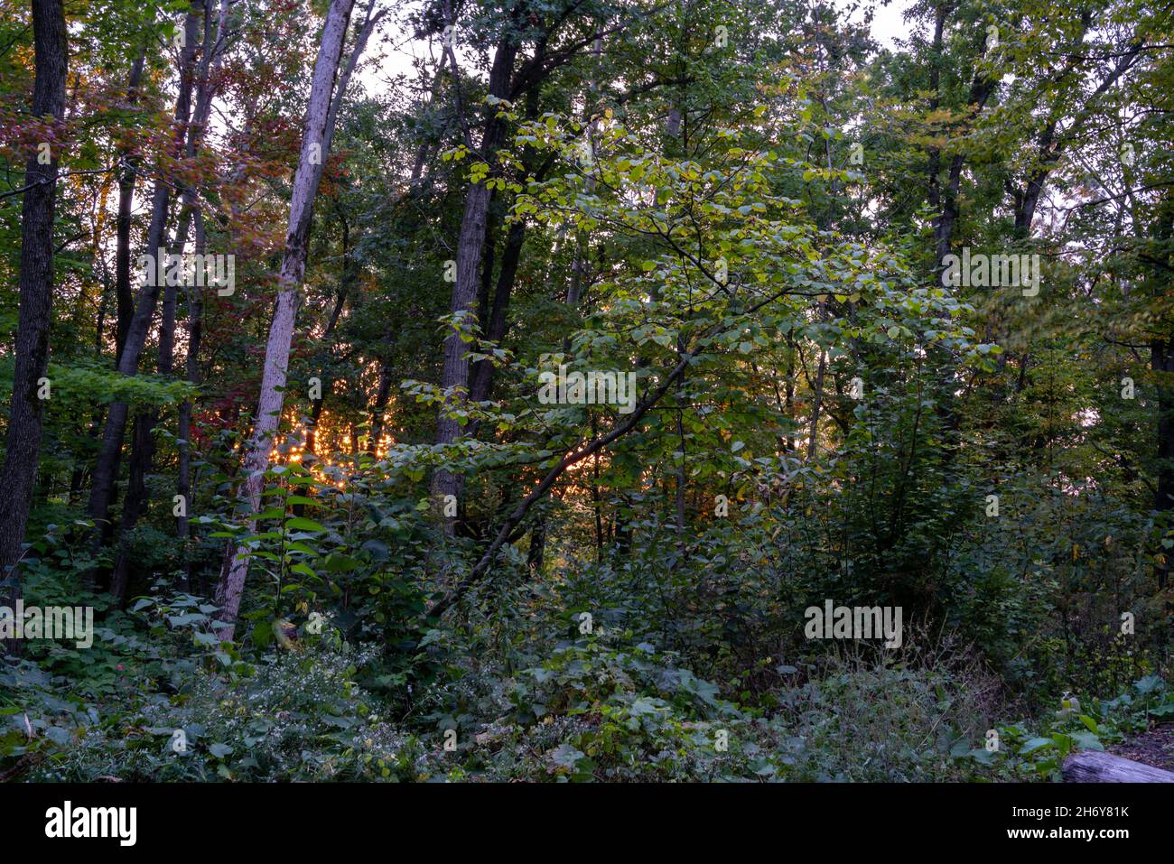 Foto vom Rucksackwandern entlang des Ice Age Trail, Kettle Moraine State Forest, Sheboygan County, Wisconsin, USA. Stockfoto