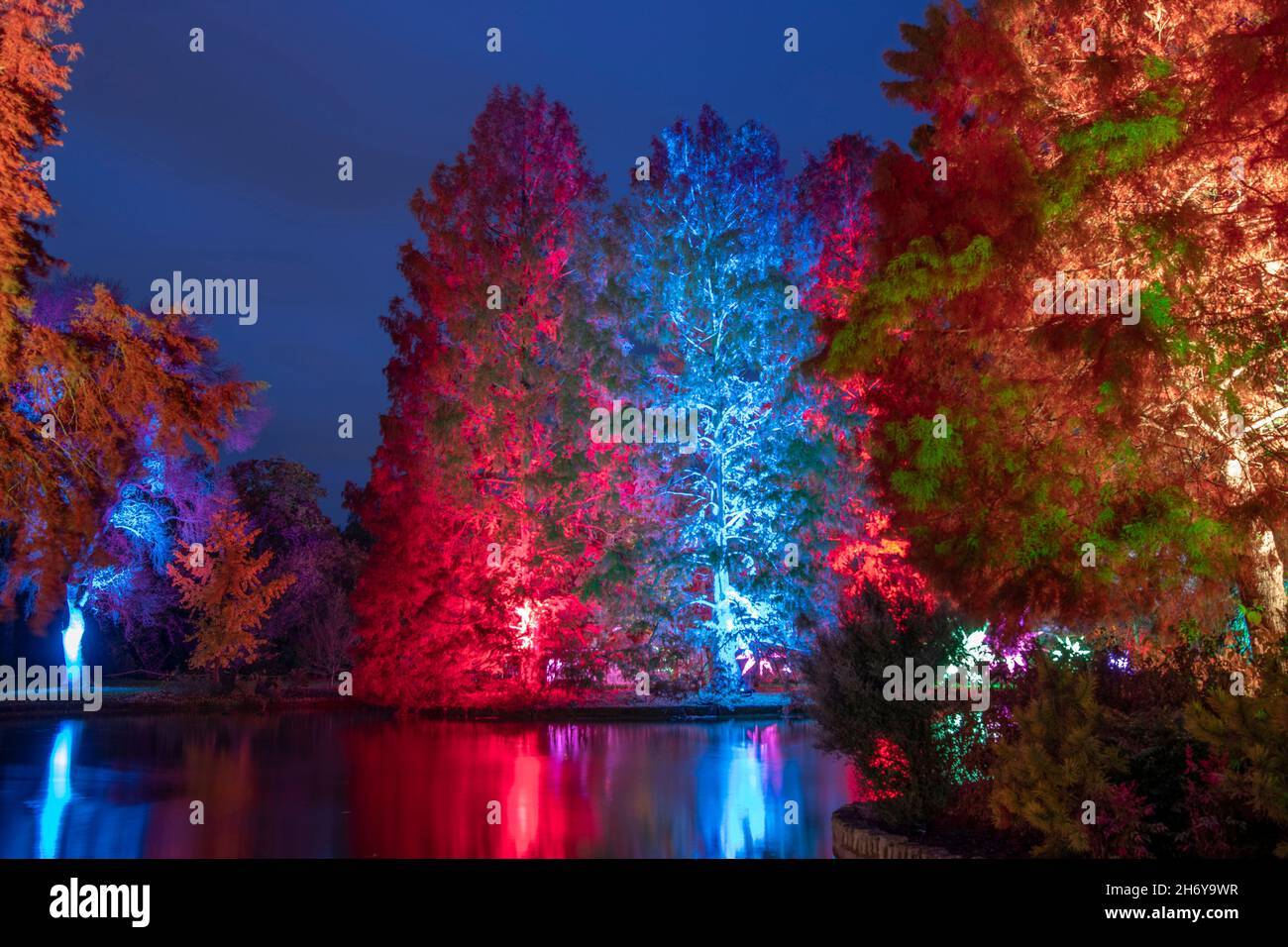 RHS Garden Wisley, Surrey, Großbritannien. 18. November 2021. Vorschau auf den berühmten und spektakulären Winterlichtweg von RHS Wisley, Glow (geöffnet vom 19. November 2021 bis zum 4. Januar 22), mit einer fantastischen Beleuchtung für die festliche Jahreszeit. Quelle: Malcolm Park/Alamy Live News. Stockfoto