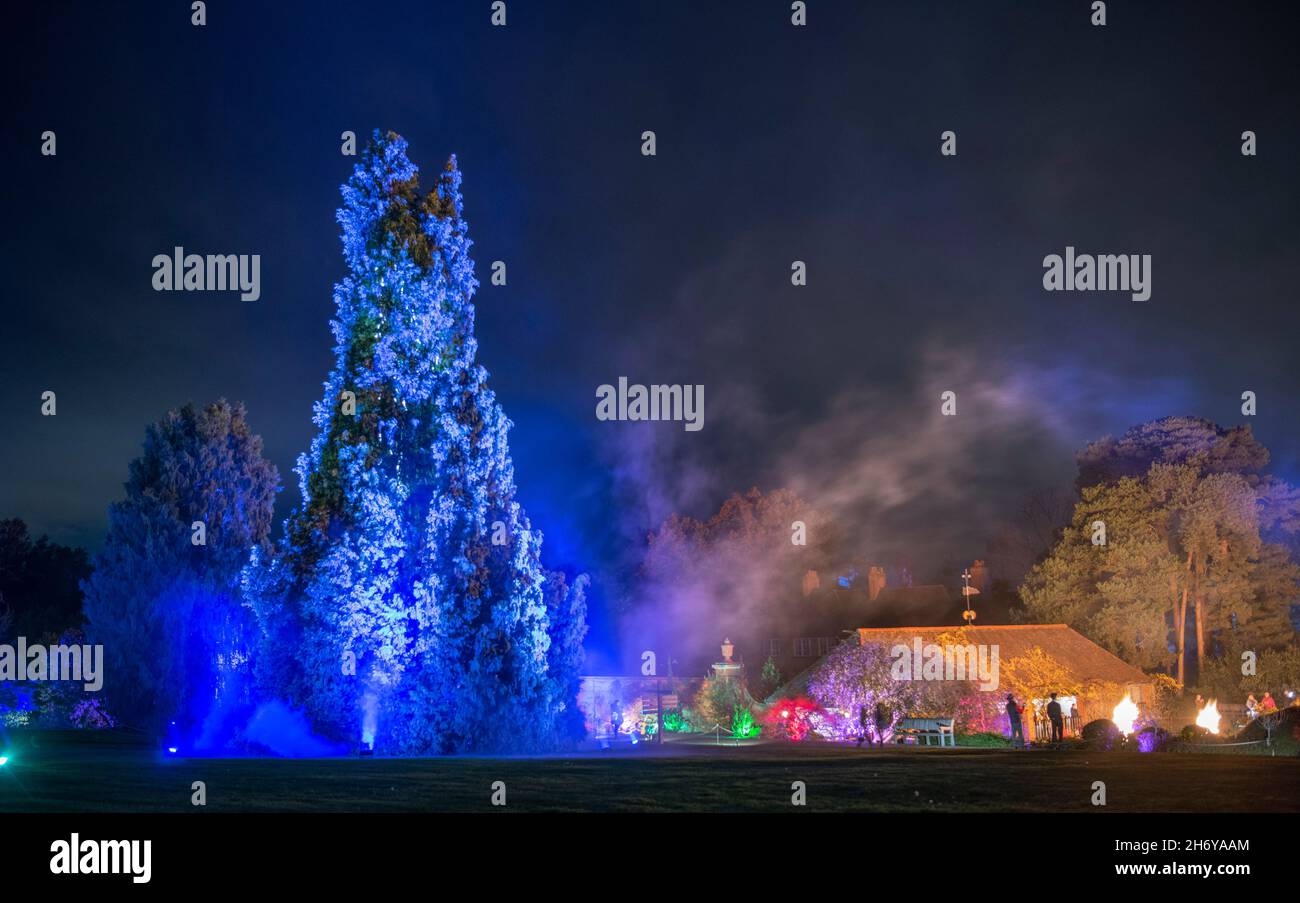 RHS Garden Wisley, Surrey, Großbritannien. 18. November 2021. Vorschau auf den berühmten und spektakulären Winterlichtweg von RHS Wisley, Glow (geöffnet vom 19. November 2021 bis zum 4. Januar 22), mit einer fantastischen Beleuchtung für die festliche Jahreszeit. Quelle: Malcolm Park/Alamy Live News. Stockfoto