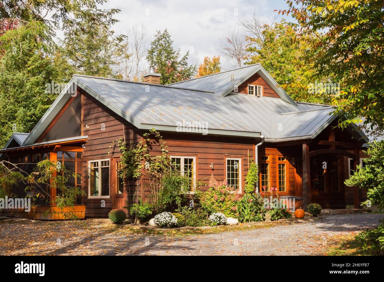Dunkelbraun gebeizt östlichen weißen Kiefer verkalzt und B.C. Fir Holzrahmen Hausfassade mit Silber stehende Naht Blechdach im Herbst Stockfoto