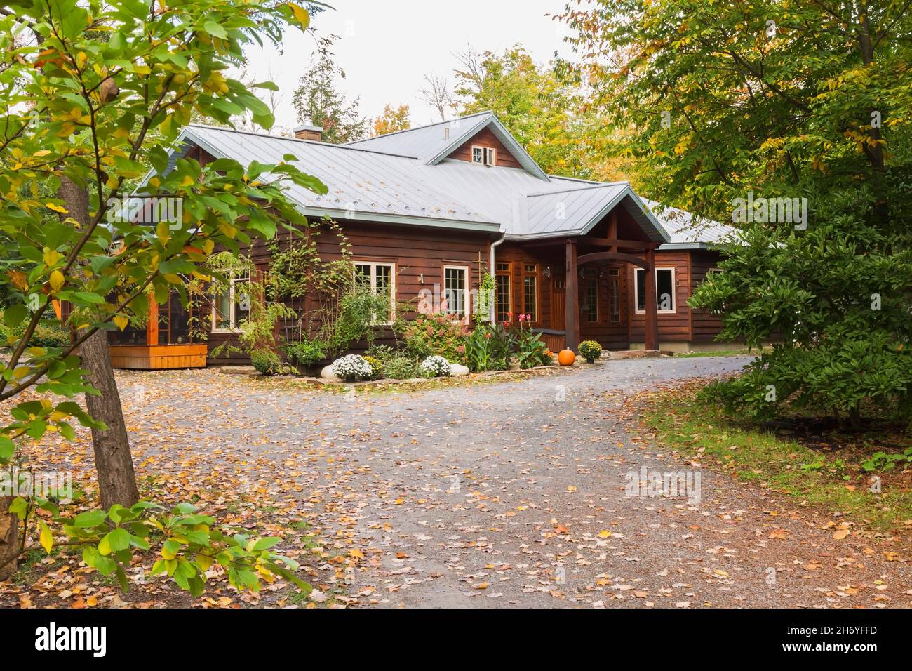 Dunkelbraun gebeizt östlichen weißen Kiefer verkalzt und B.C. Fir Holzrahmen Hausfassade mit Silber stehende Naht Blechdach im Herbst Stockfoto