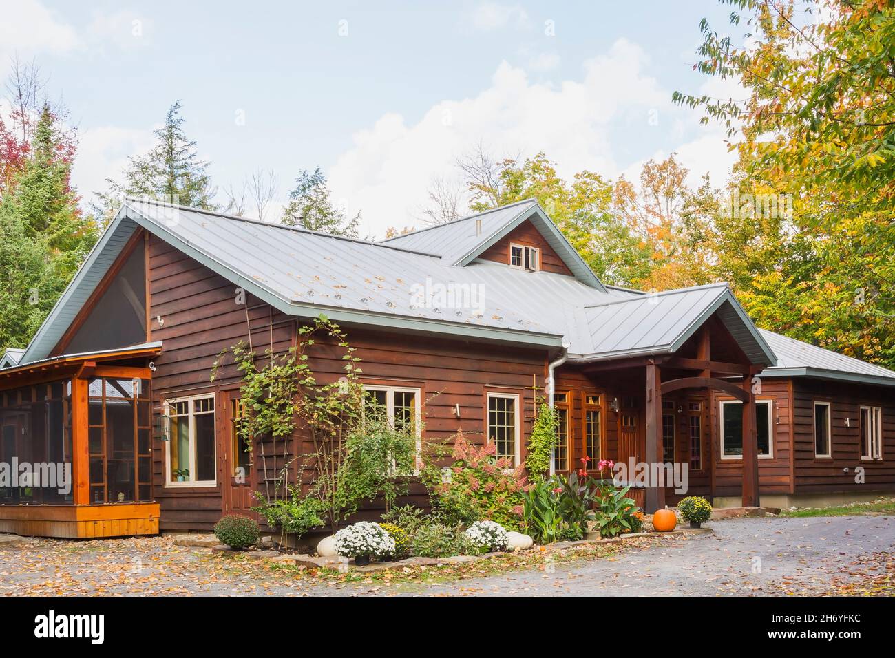 Dunkelbraun gebeizt östlichen weißen Kiefer verkalzt und B.C. Fir Holzrahmen Hausfassade mit Silber stehende Naht Blechdach im Herbst Stockfoto