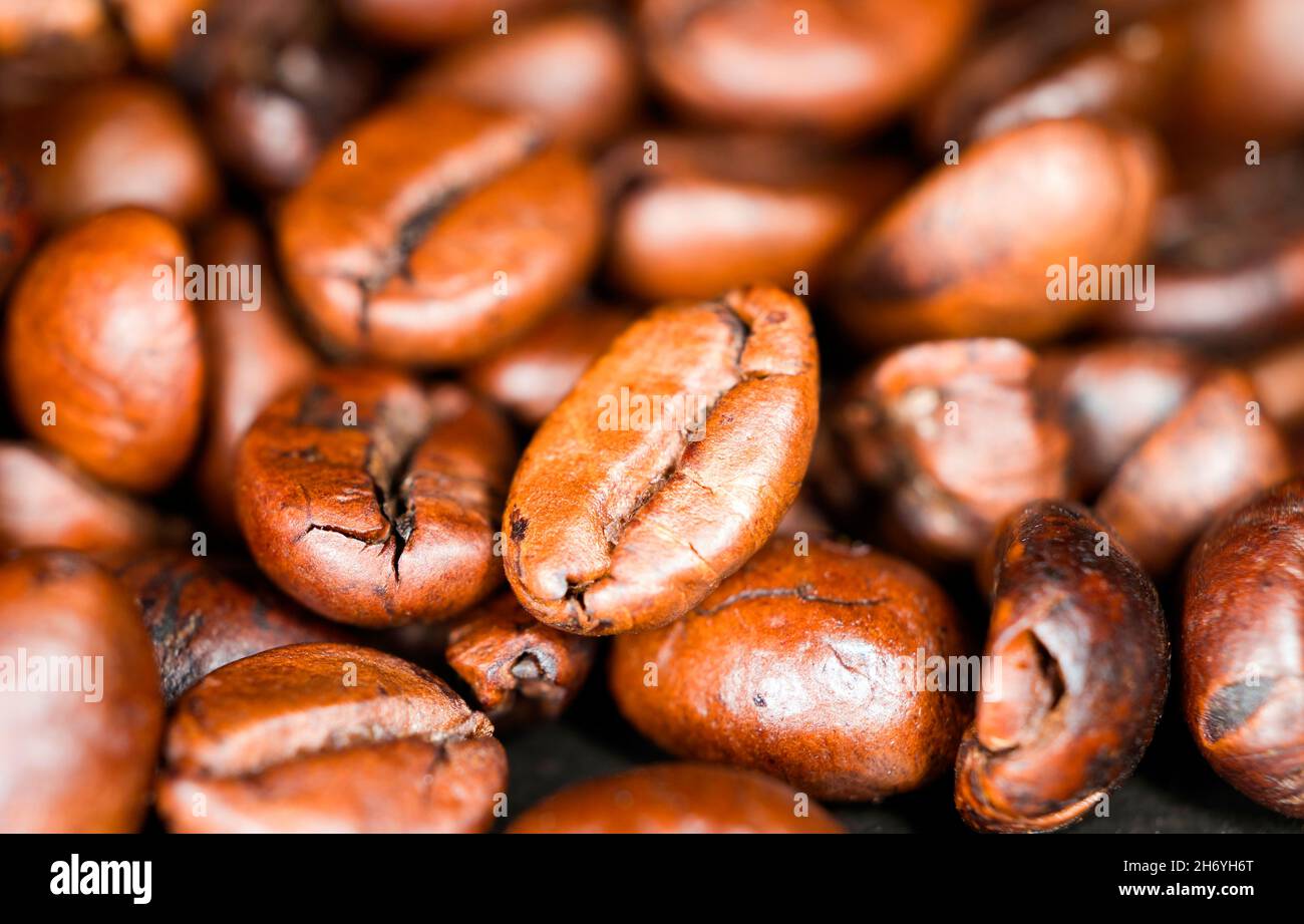 Kaffee Bohnen Stockfoto