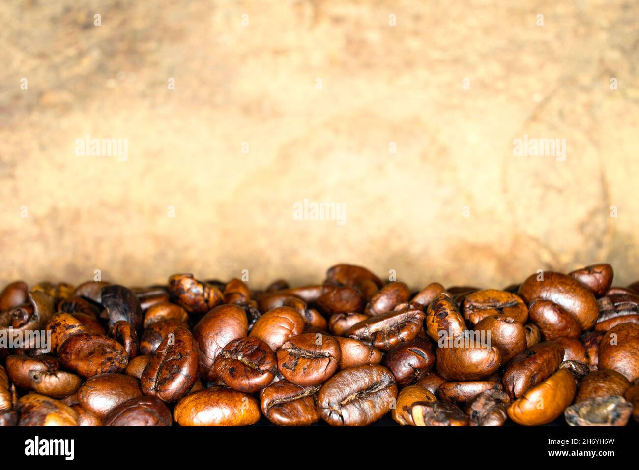 Kaffee Bohnen Stockfoto