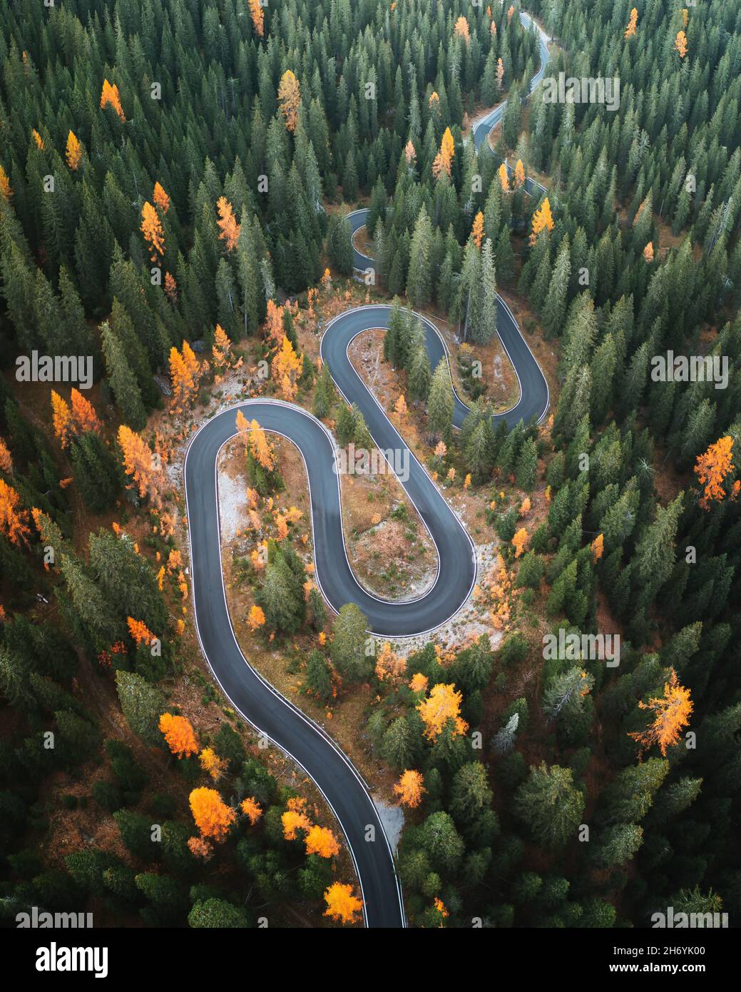 Top Luftaufnahme der berühmten Snake Road in der Nähe von Passo Giau in den Dolomiten. Verwinkelte Bergstraße in üppigem Wald mit Orangenlärchen und grüner Fichte im Herbst. Dolomiten, Italien Stockfoto