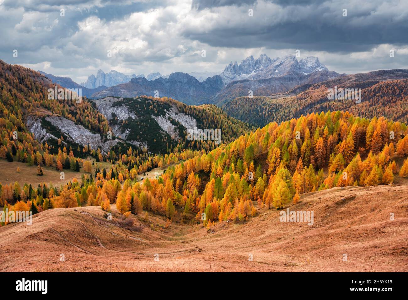 Unglaublicher Herbstblick im Valfreda-Tal in den italienischen Dolomiten. Gelbes Gras, orange Lärchen Wald und schneebedeckte Berge Gipfel auf dem Hintergrund. Dolomiten, Italien. Landschaftsfotografie Stockfoto