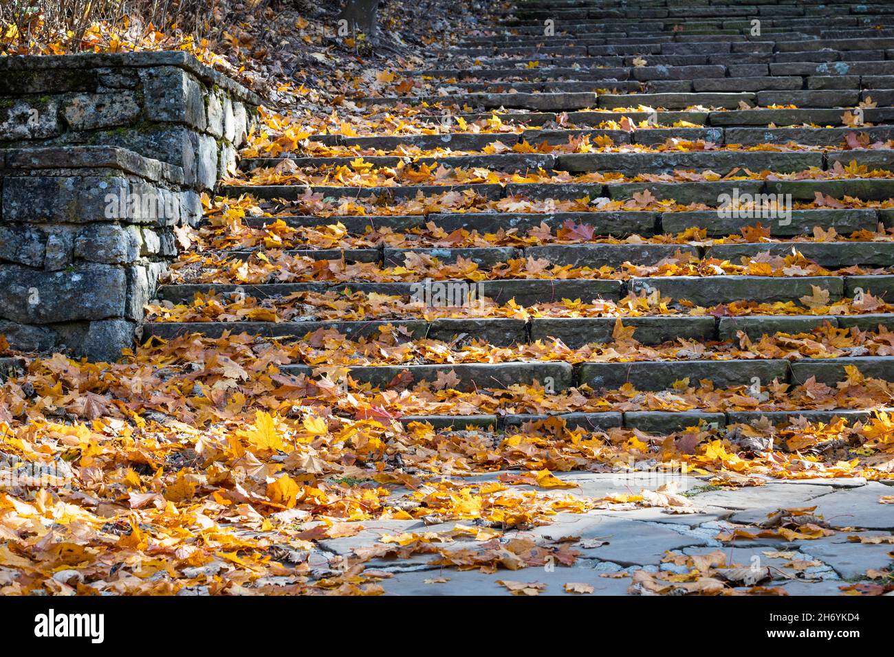 Herbstblätter vor einer großen Steintreppe, angesammelt durch den kalten Wind, die letzten Strahlen des Sonnenuntergangs Stockfoto