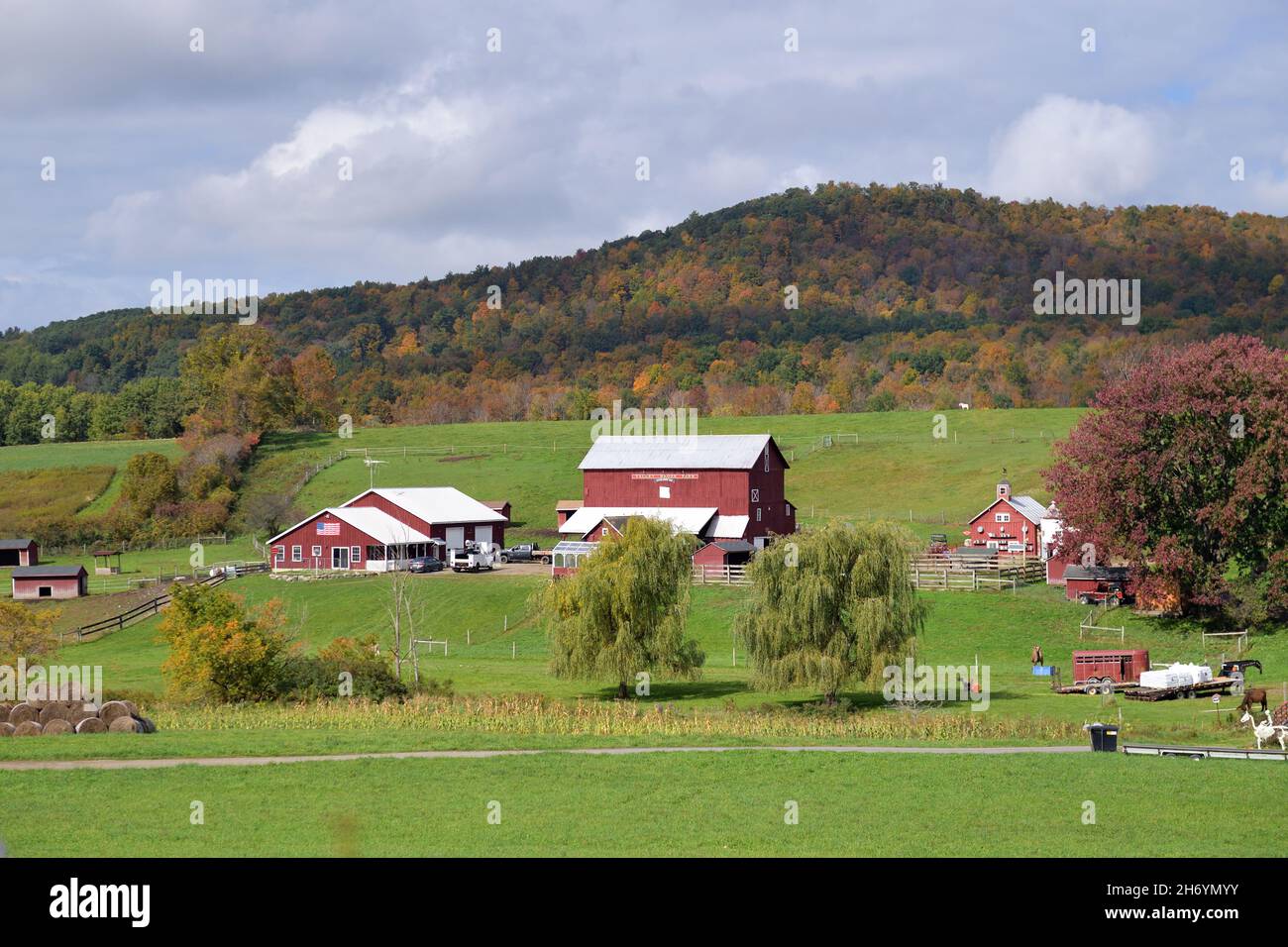 East Springfield, New York, USA. Mehrere Scheunen und Strukturen definieren eine große landwirtschaftliche Ausbreitung in einer ruhigen Umgebung im Nordosten von New York. Stockfoto
