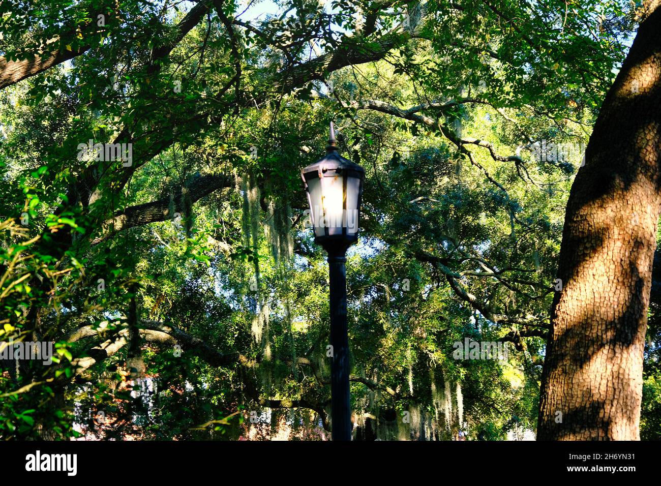 Alte Lampe im Southern Park Stockfoto