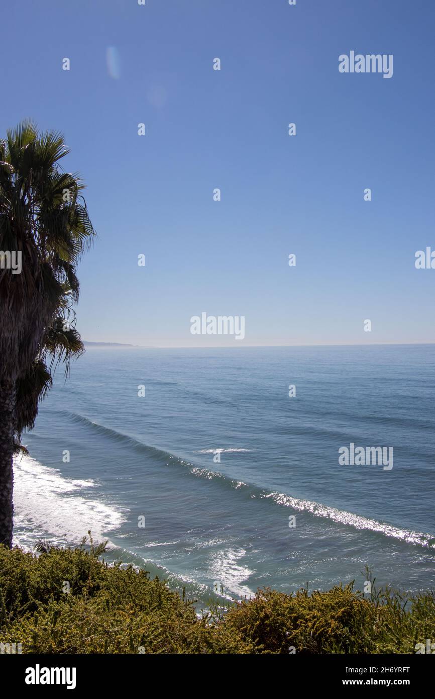 Avocado Toast im kalifornischen Stil mit frischem Obst Stockfoto