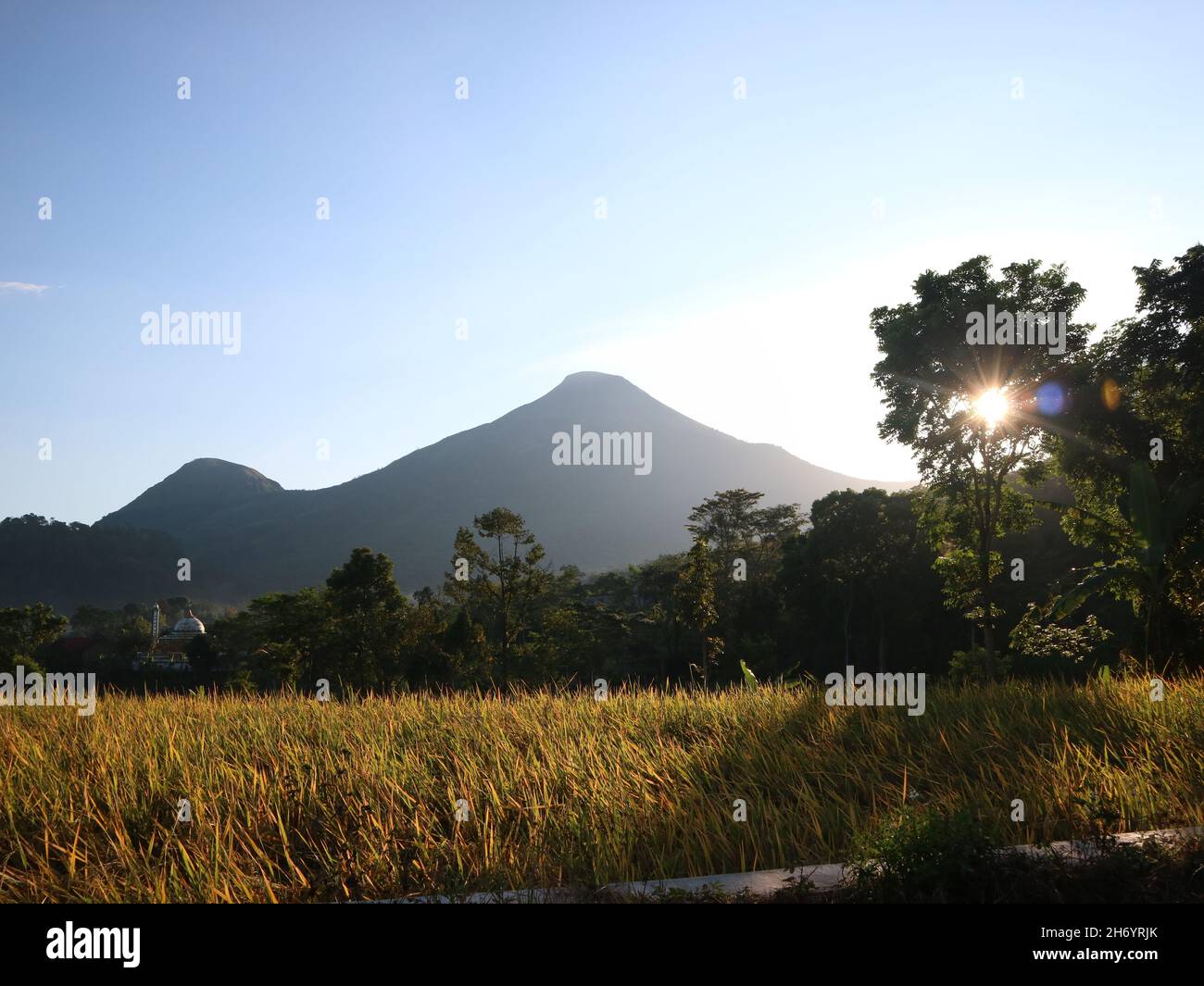 MOJOKERTO, INDONESIEN - 06. Juni 2019: Wunderschöne Aussicht auf Reisfelder, Bäume und Berge mit weißen Wolken am blauen Himmel. Naturhintergrund Stockfoto