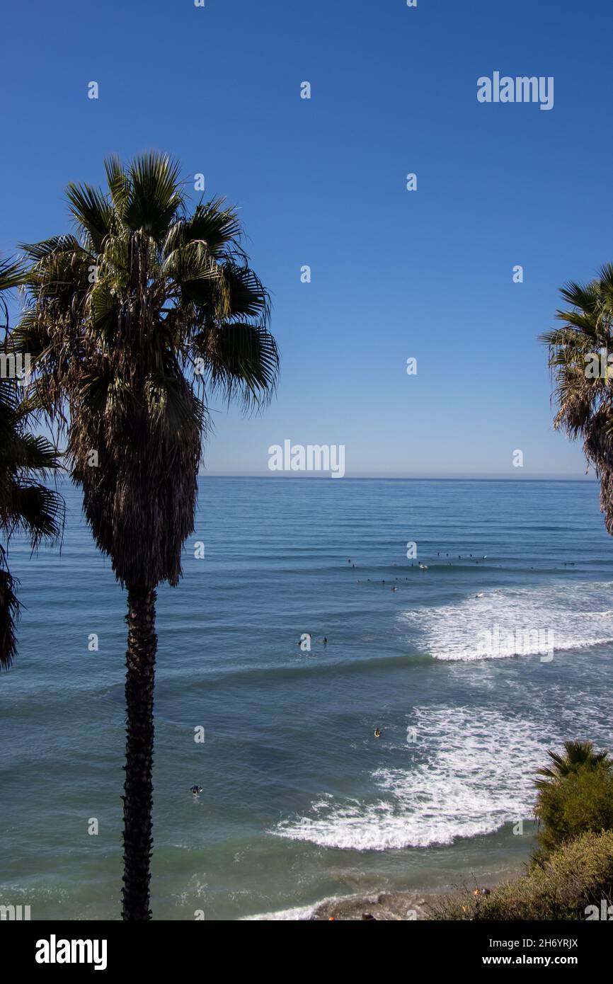 Avocado Toast im kalifornischen Stil mit frischem Obst Stockfoto