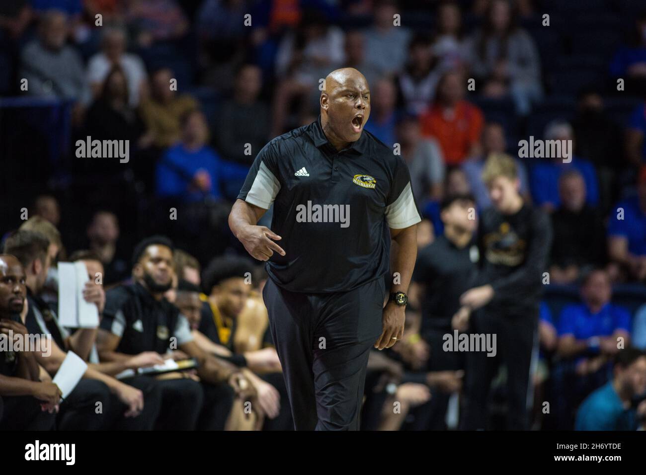 18. November 2021: Milwaukee Panthers Cheftrainer Pat Baldwin brüllt während des NCAA-Basketballspiels zwischen den Milwaukee Panthers und den Florida Gators im Stephen C. O'Connell Center Gainesville, FL, zu seinem Team. Jonathan Huff/CSM/Sipa USA (Kreditbild: © Jonathan Huff/CSM/Sipa USA) Stockfoto