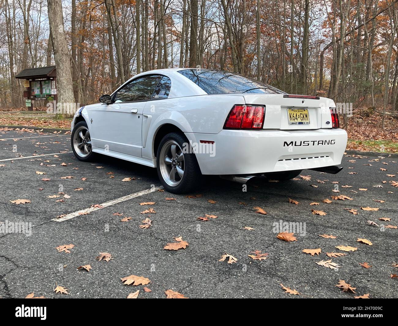 2003 weißer Ford Mustang auf einem mit Blättern bedeckten Parkplatz. Stockfoto