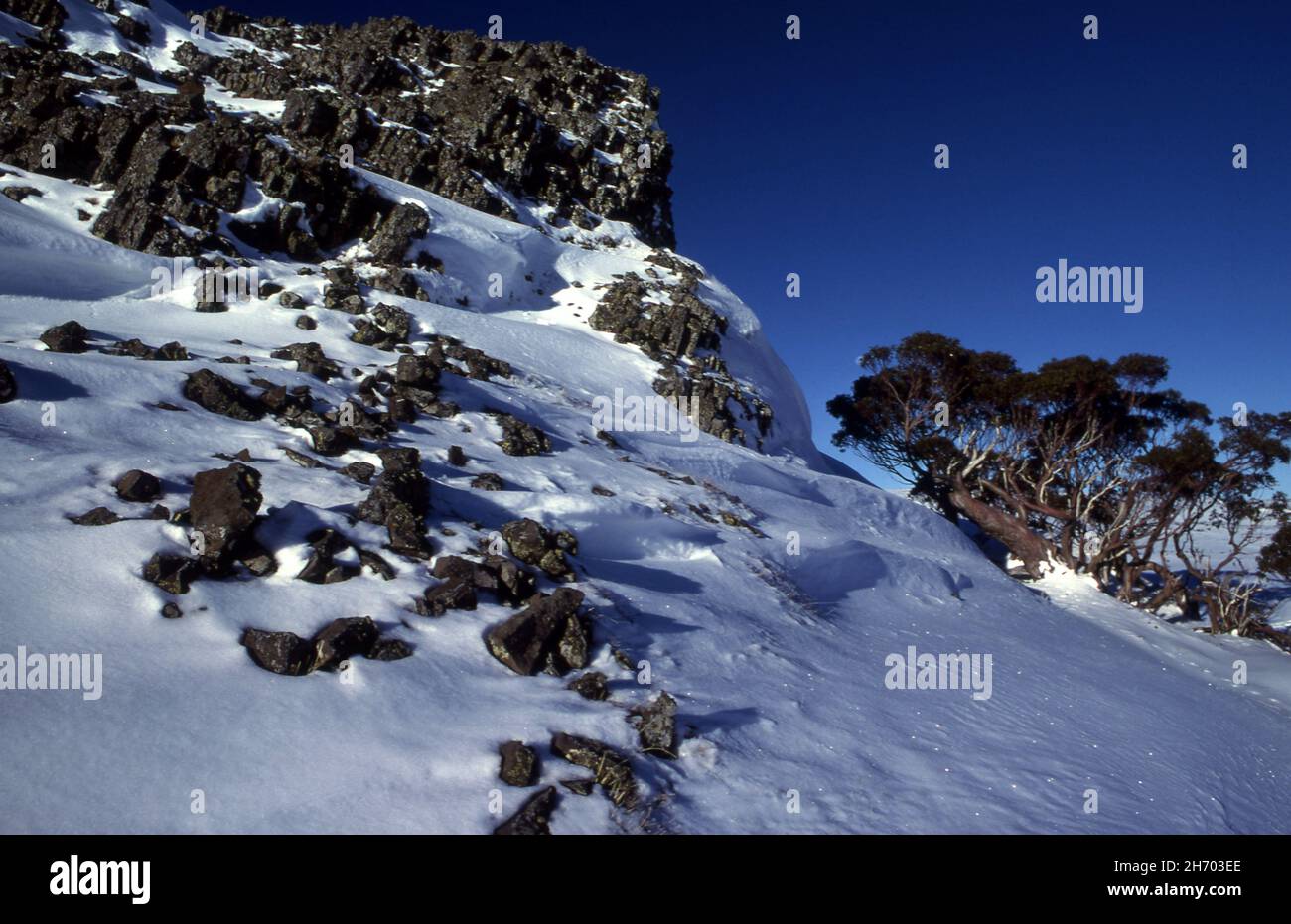SCHNEEBEDECKTE BERGE IN DEN VIKTORIANISCHEN ALPEN, AUSTRALIEN. Stockfoto