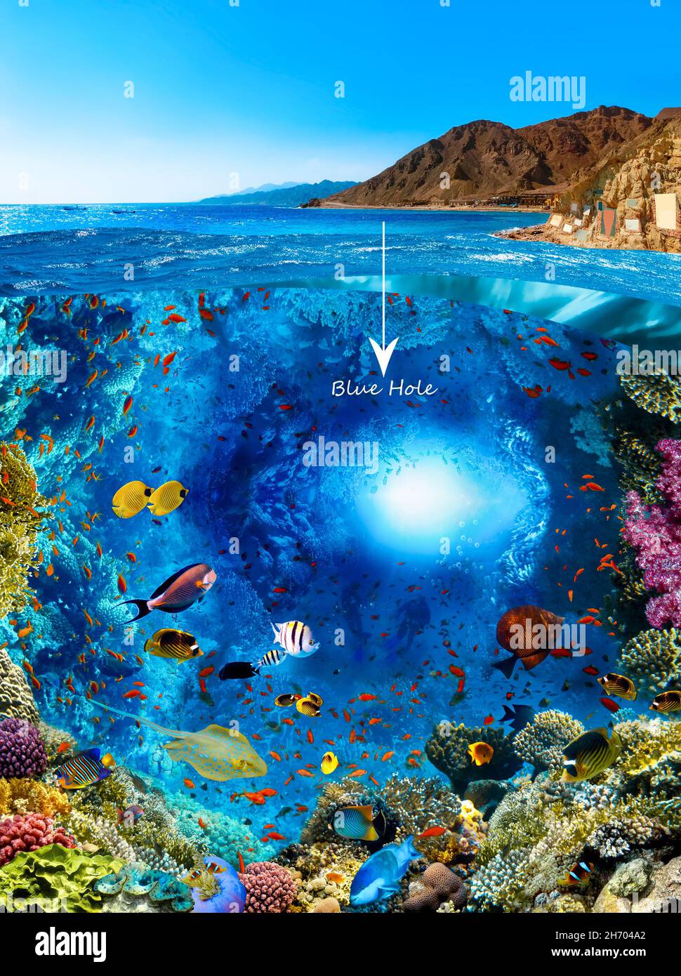 Scuba Diver über den Unterwasser-Canyon am blauen Loch in Dahab, Ägypten. Collage mit Korallen und Fischen Stockfoto