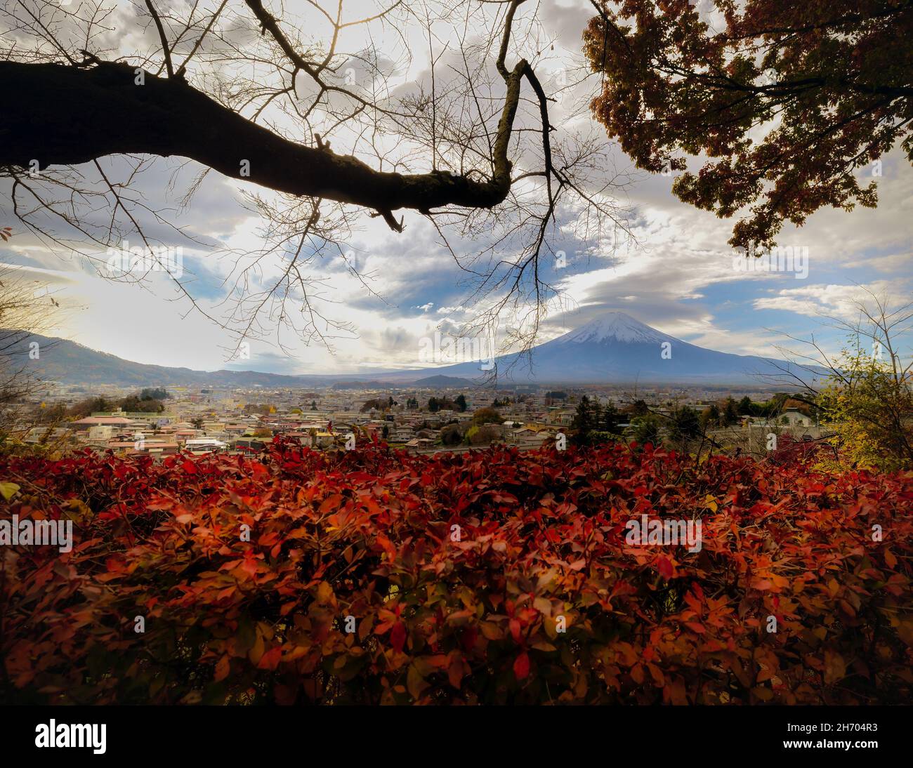 Der Berg Fuji und die Stadt Fujuyoshida von einem nahegelegenen Hügel mit Herbstblättern aus gesehen. Stockfoto