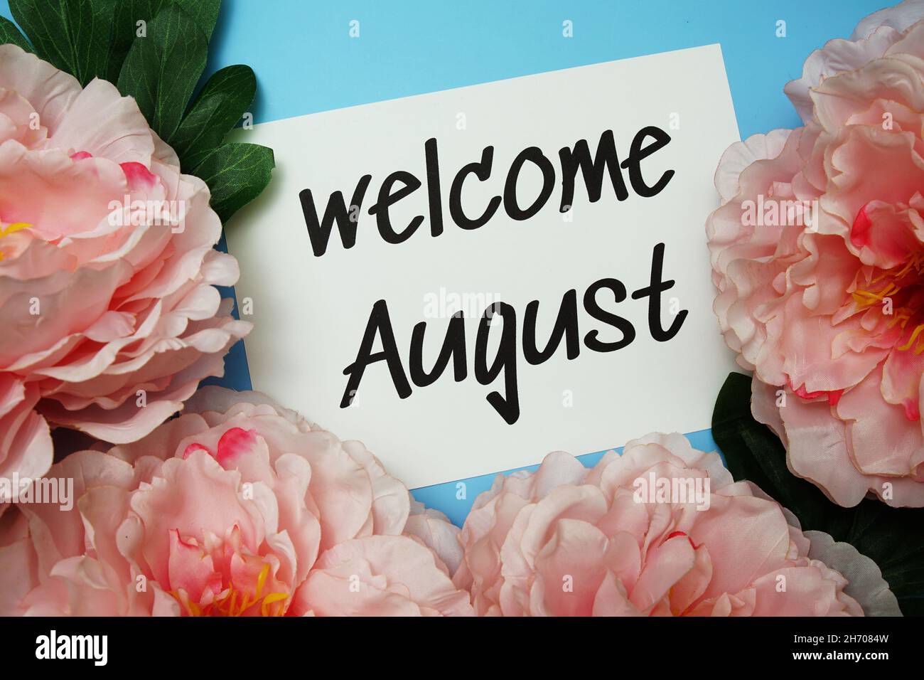 Willkommen August Typografie Text mit Pfingstrosen Blumen auf blauem  Hintergrund Stockfotografie - Alamy