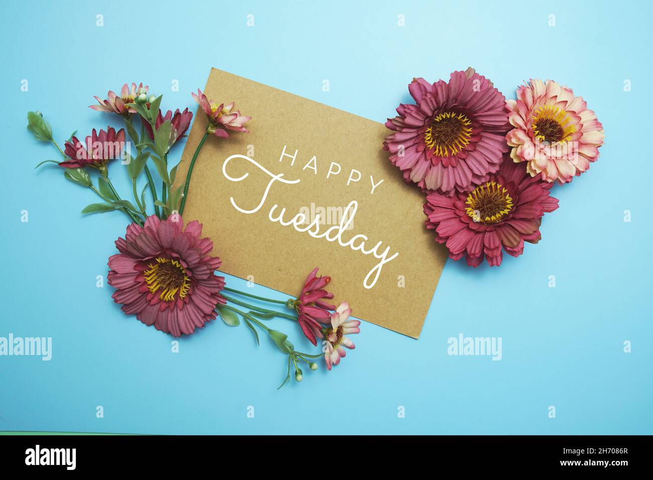 Happy Tuesday Karte Typografie Text mit Blumenstrauß auf blauem Hintergrund Stockfoto