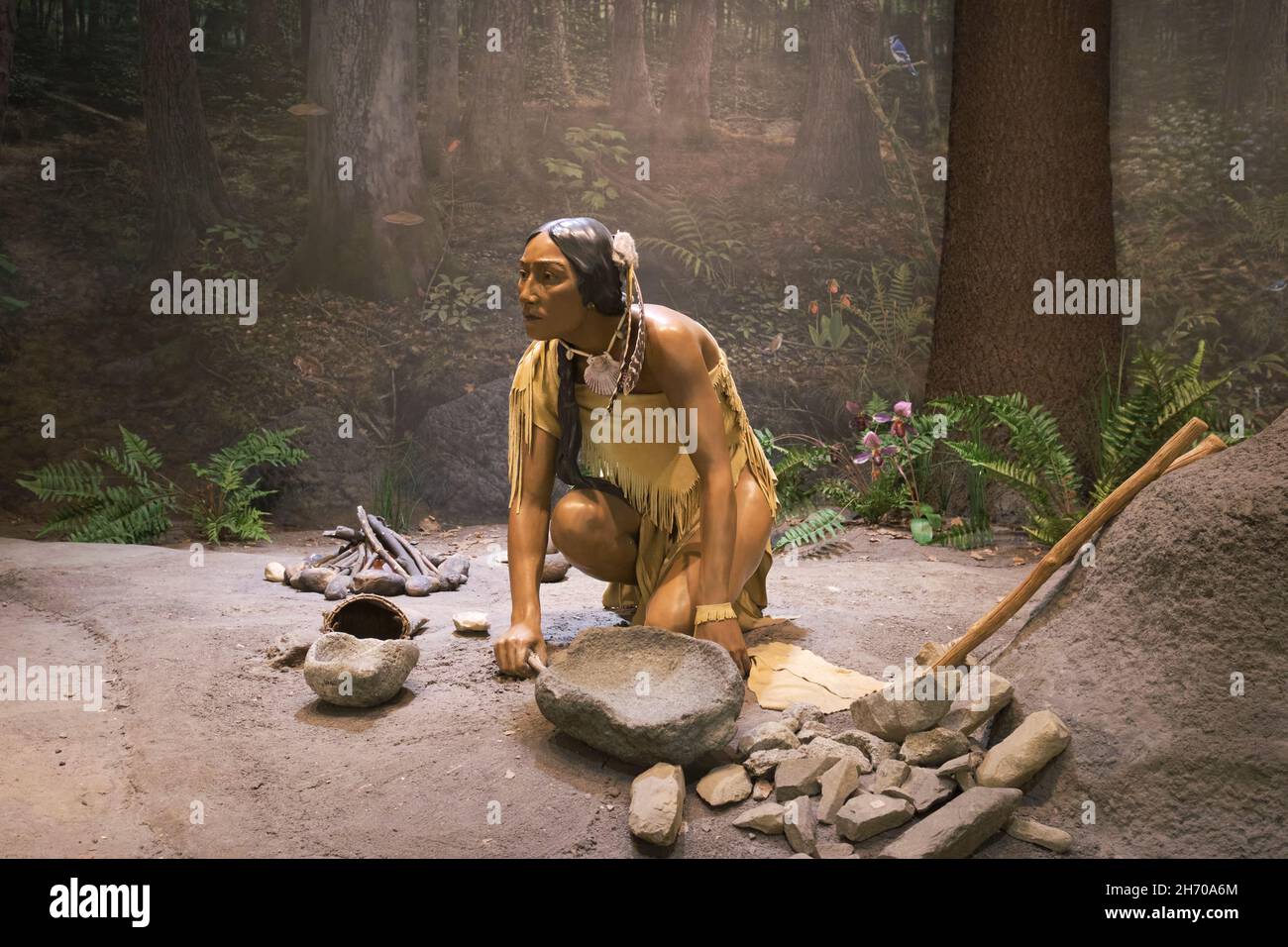 Eine Native American Diorama-Ausstellung, ausgestellt im Science Museum. In Springfield, Massachusetts. Stockfoto