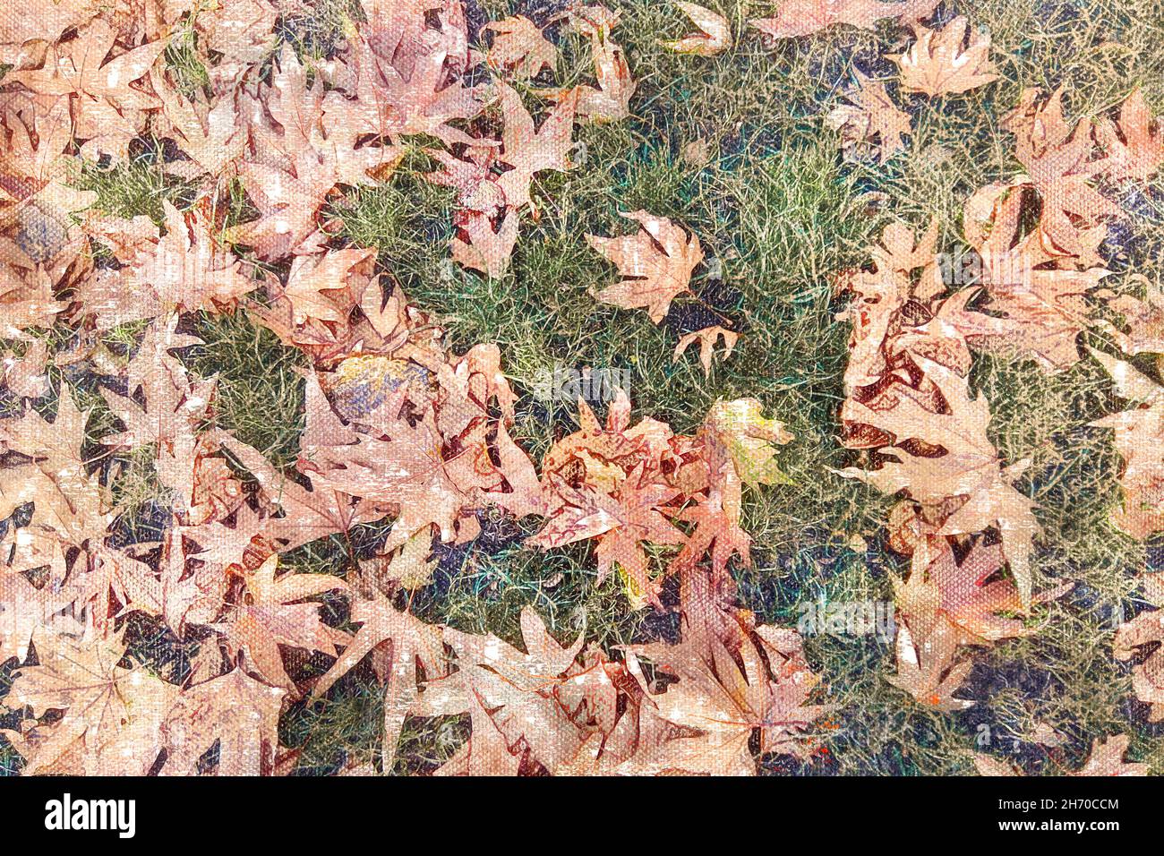 Braun gefallene Blätter auf einem grünen Rasen. Platanenblätter. Grüne Jahreszeit. Digitale Aquarellmalerei. Stockfoto