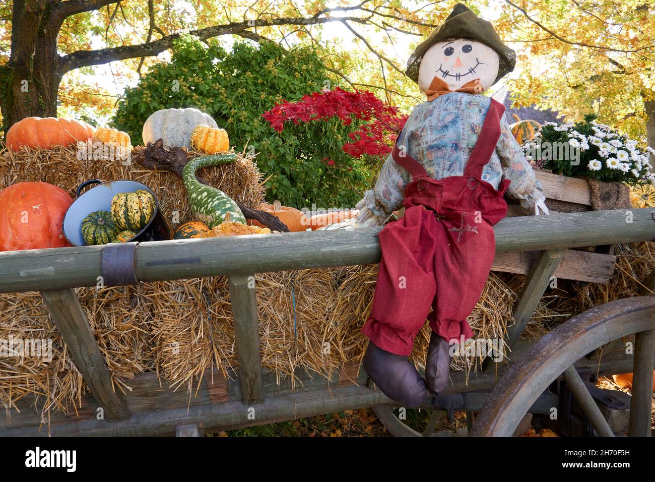 Puppe mit Kürbissen und Blumen in herbstlicher Umgebung im Freien Stockfoto
