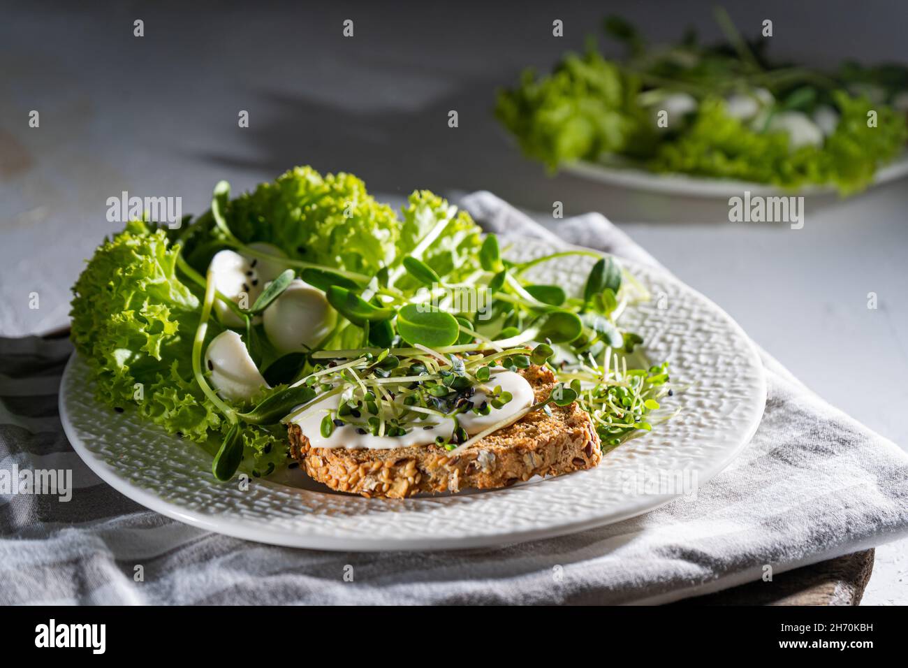Frühstück mit Micro Green auf einem Teller. Brot Toast, Mozzarella Käse, Sahnesauce. Futter mit grünen Sprossen von Microgreen. Gesunde Ernährung. Gesunde einfache Lebensmittel. Salat mit Sonnenblumensprossen, Rucola, Rettich, Senf. Stockfoto