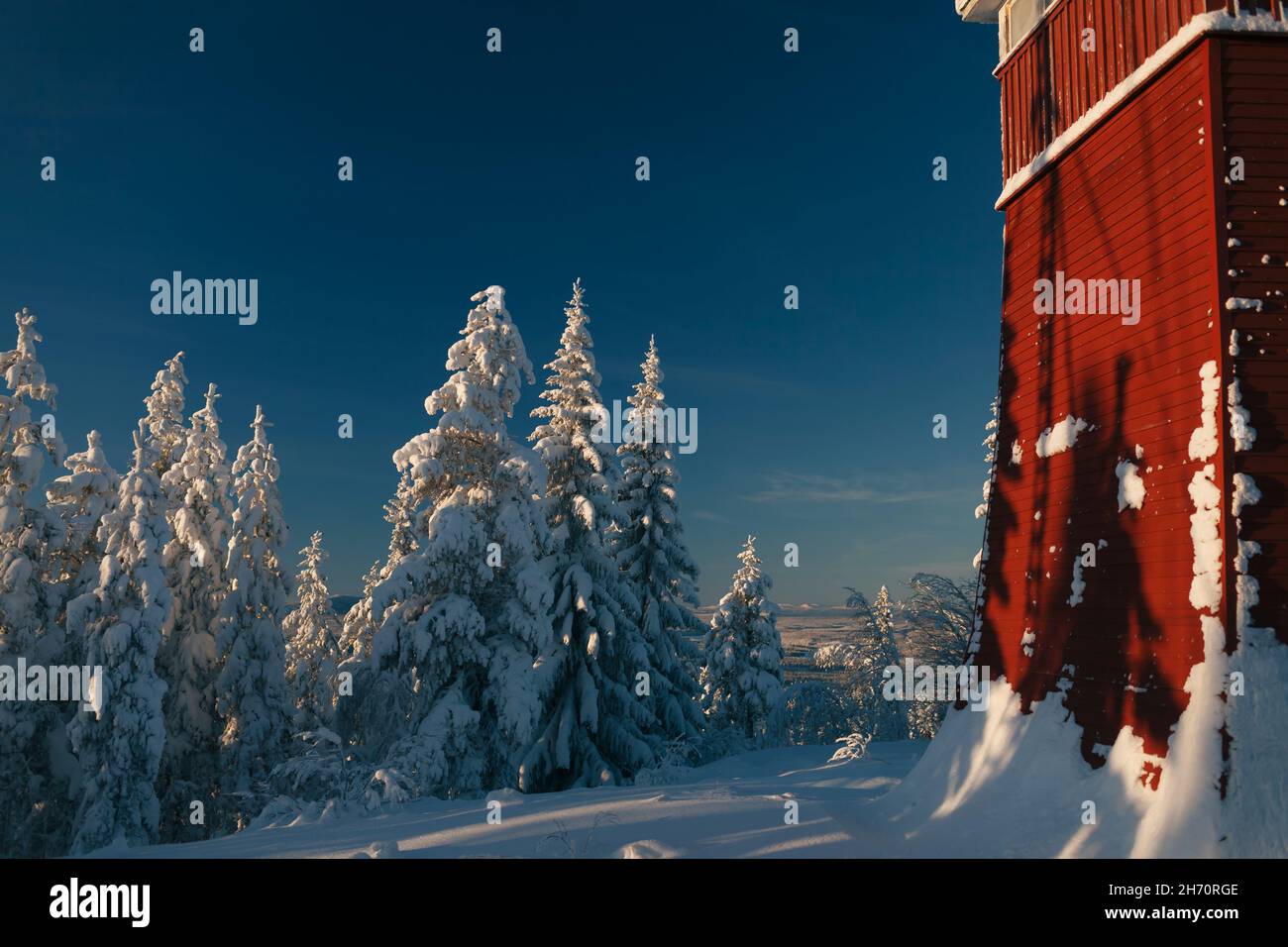 Schneebedeckter Wald und blauer Himmel Stockfoto