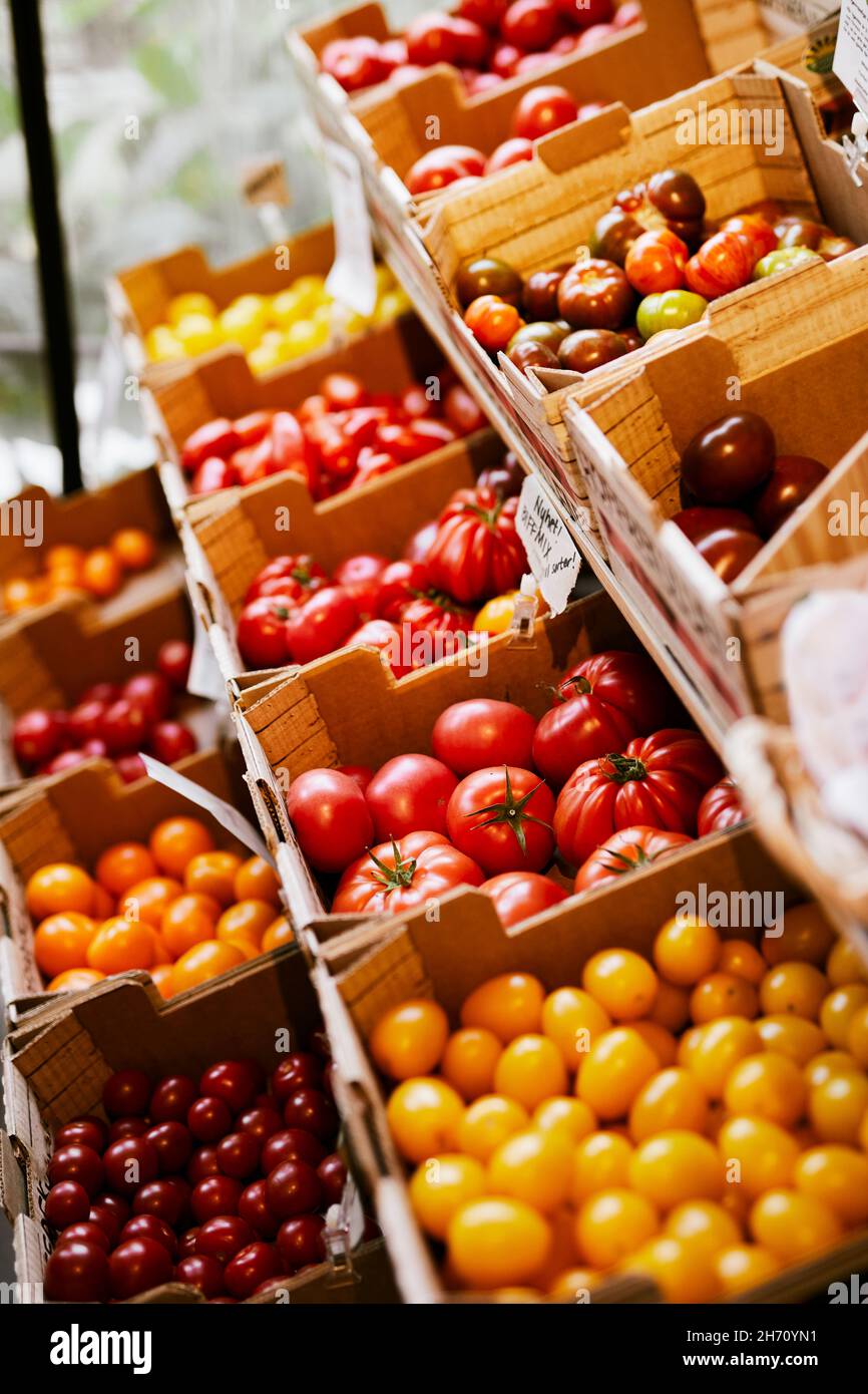 Verschiedene Tomaten zum Verkauf im Geschäft mit Bio-Lebensmitteln Stockfoto