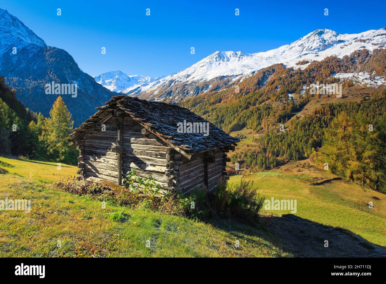 Berghütte im krautigen Val d'Herens mit dem schneebedeckten Pigne d'Arolla im Hintergrund, Kanton Wallis, Schweiz Stockfoto