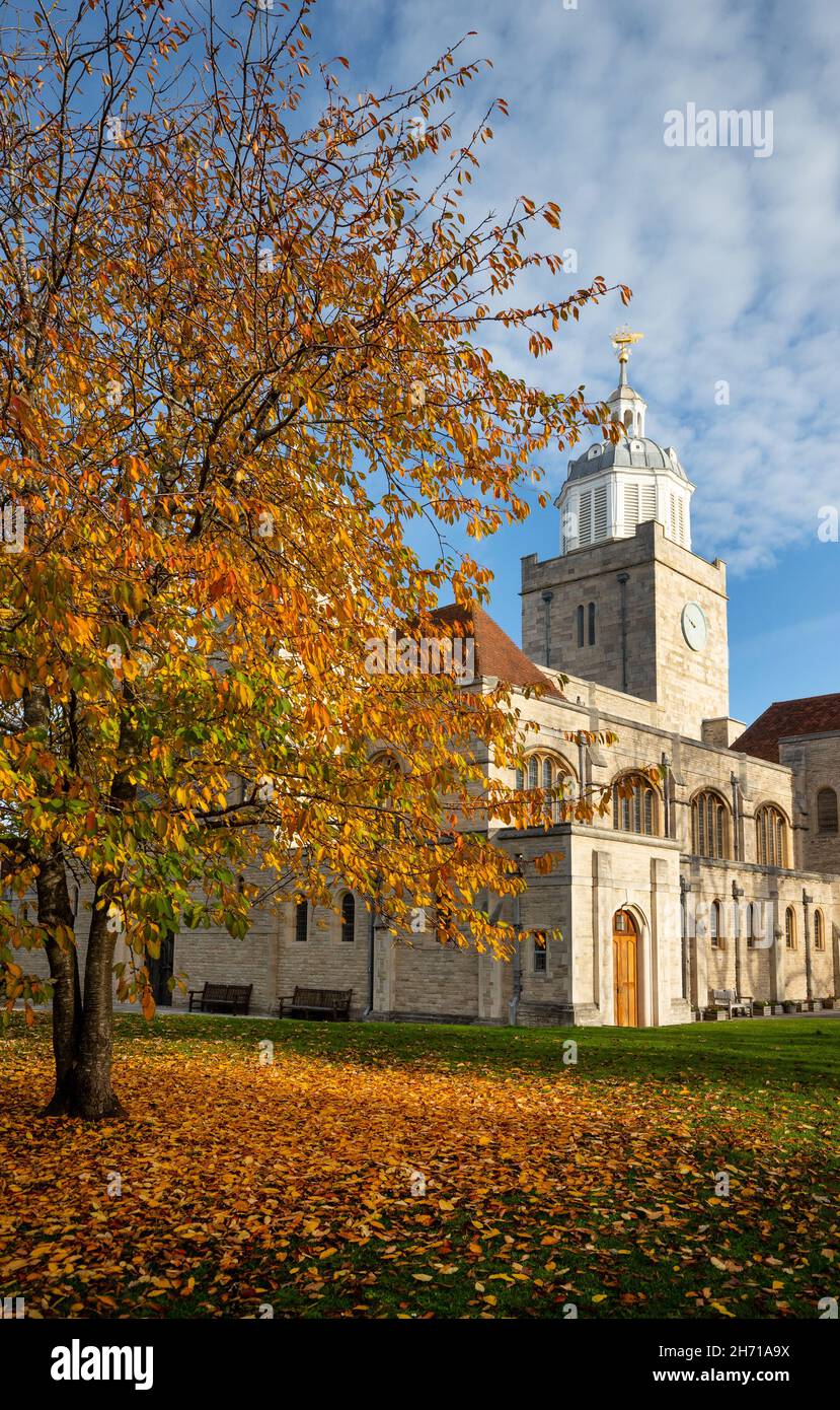 Die Kathedrale von Portsmouth im Herbst, Portsmouth, Hampshire, Großbritannien Stockfoto