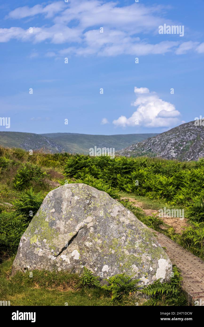 Flechten bedeckter Granitfelsen und Farne am Spinc Walkway in Glendalough, County Wicklow, Irland Stockfoto