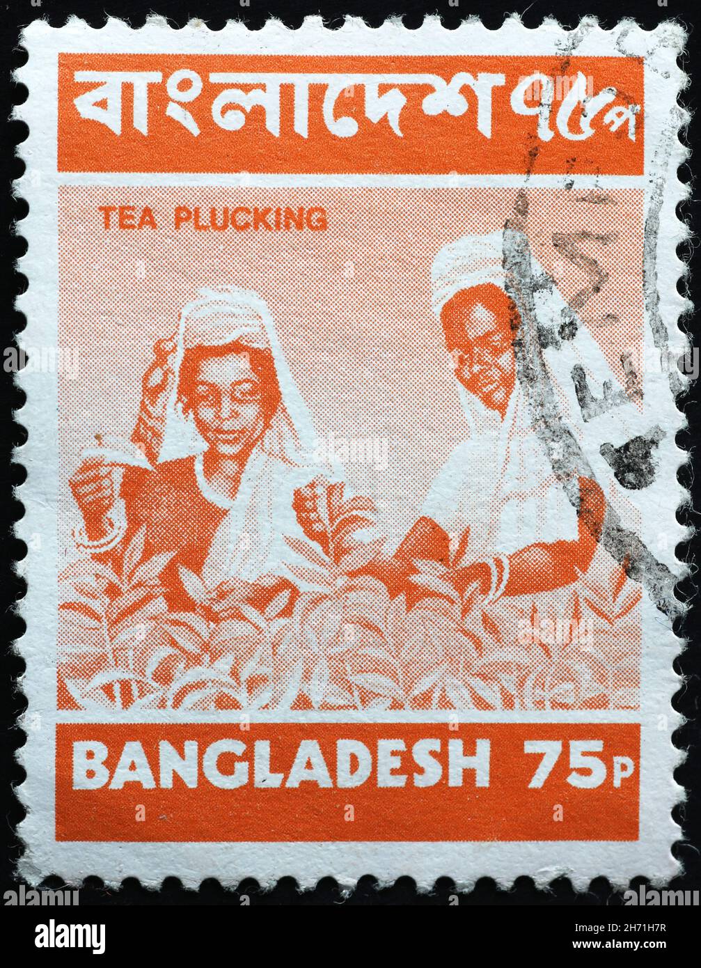 Frauen pflücken Teeblätter auf Briefmarke von Bangladesch Stockfoto