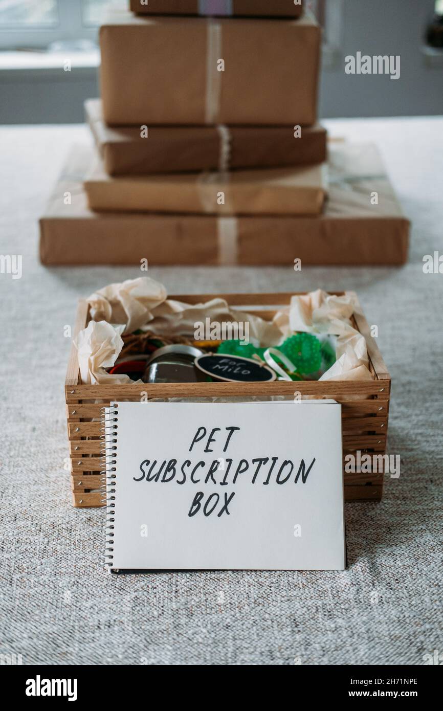 PET-Abonnementbox für Hunde und Katzen. Abonnement-PET-Box mit Bio-Leckereien, Fun Toy, Bully Sticks, All-Natural Chews, Hautpflege oder Wellness-Artikel Stockfoto