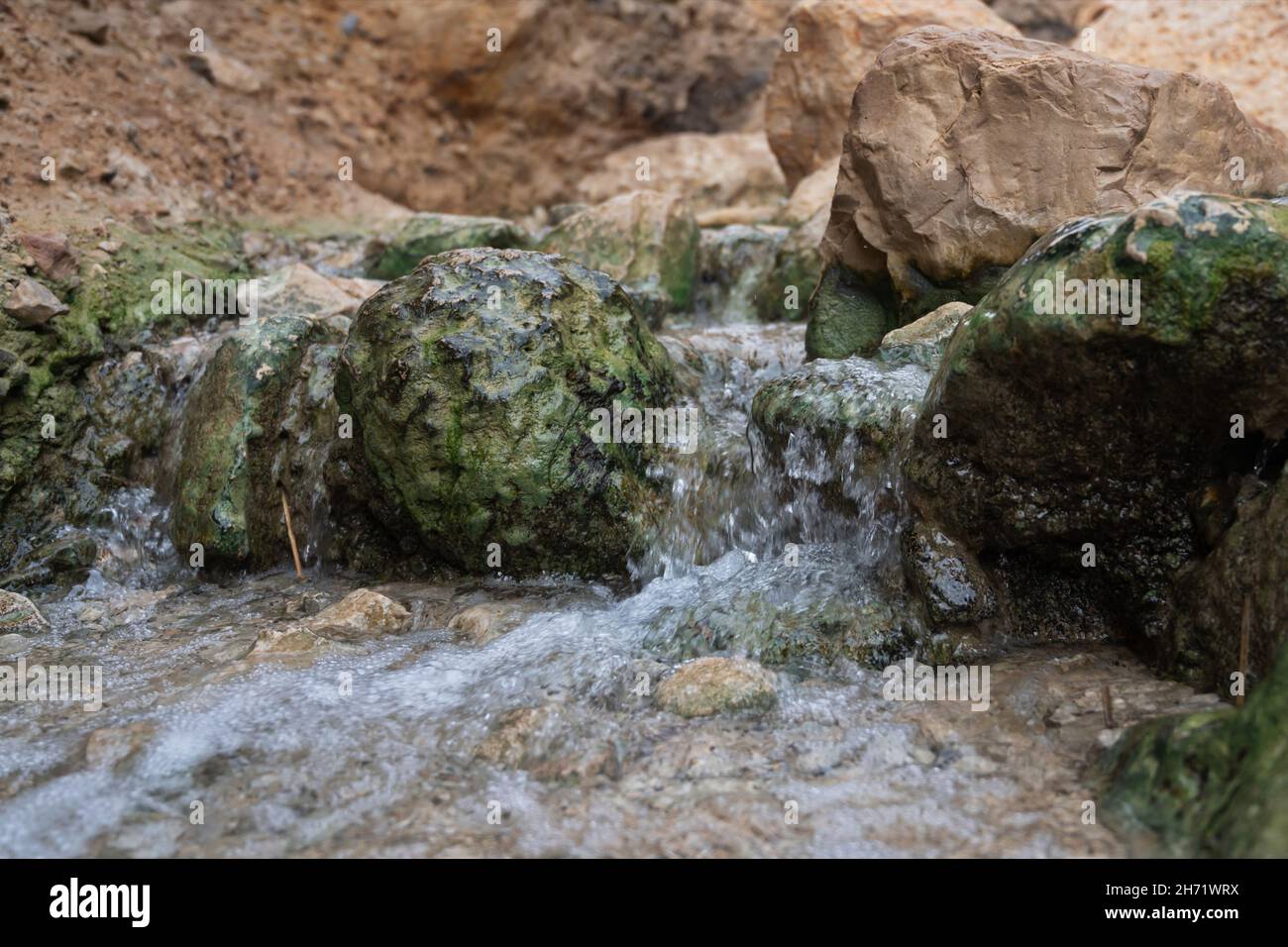 Creek ein Bokek in der judäischen Wüste in Israel Stockfoto