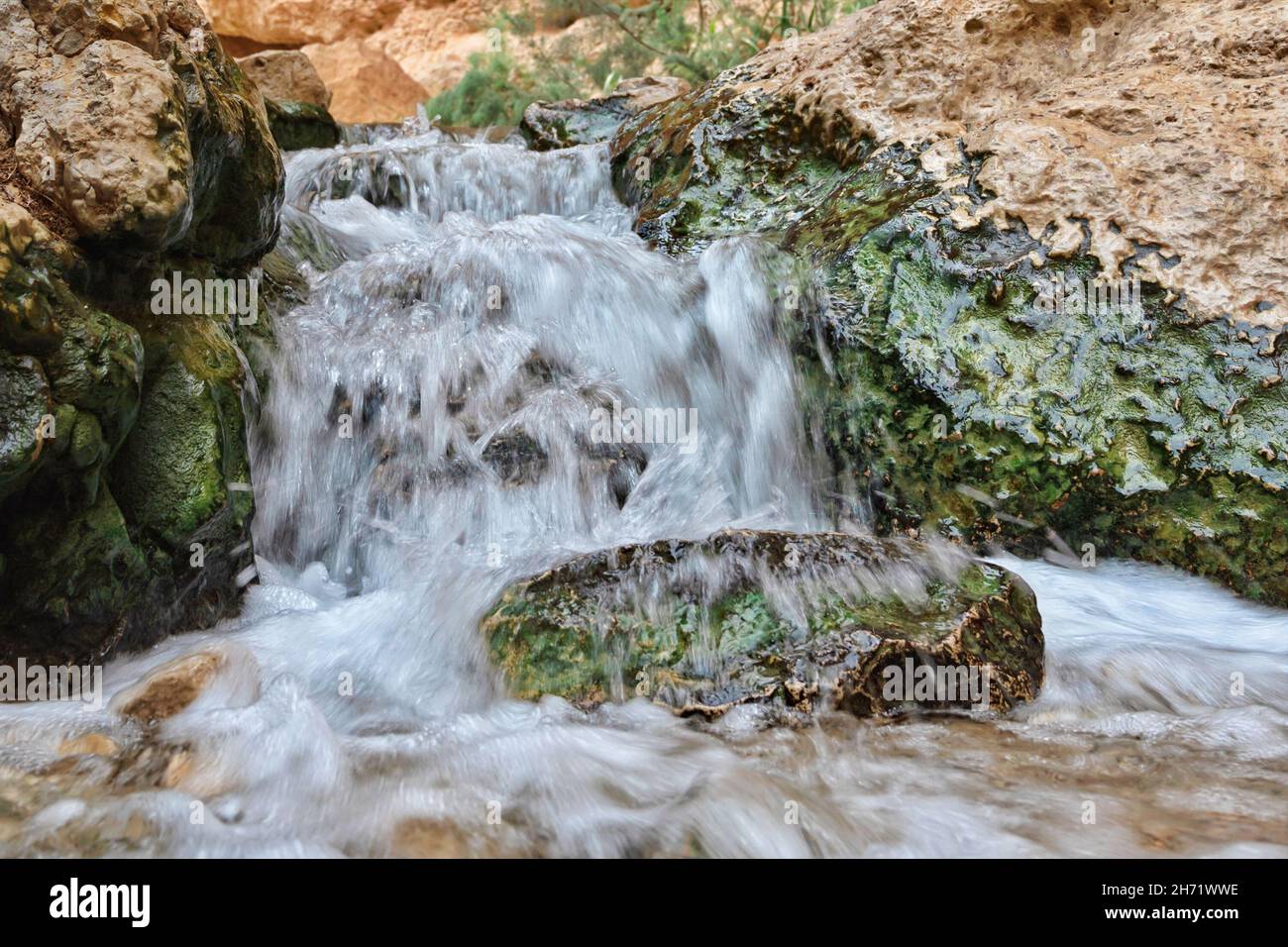 Creek ein Bokek in der judäischen Wüste in Israel Stockfoto