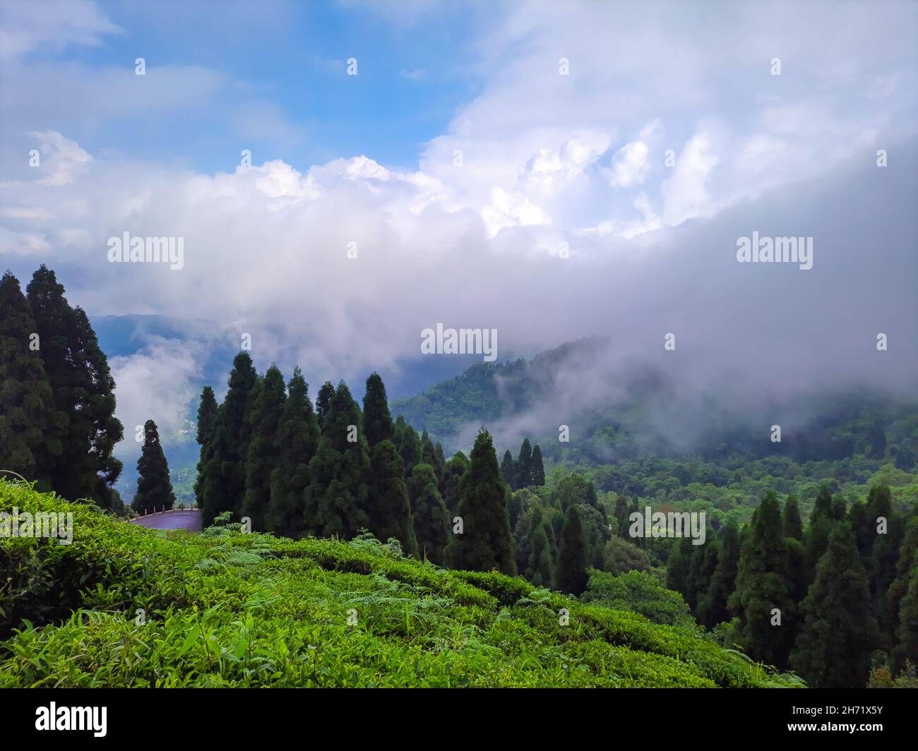 Das grüne Bergtal mit blauem Himmel und einer schweren Wolke am Morgen wurde in darjeeling im Westen von bengalen indien aufgenommen. Stockfoto