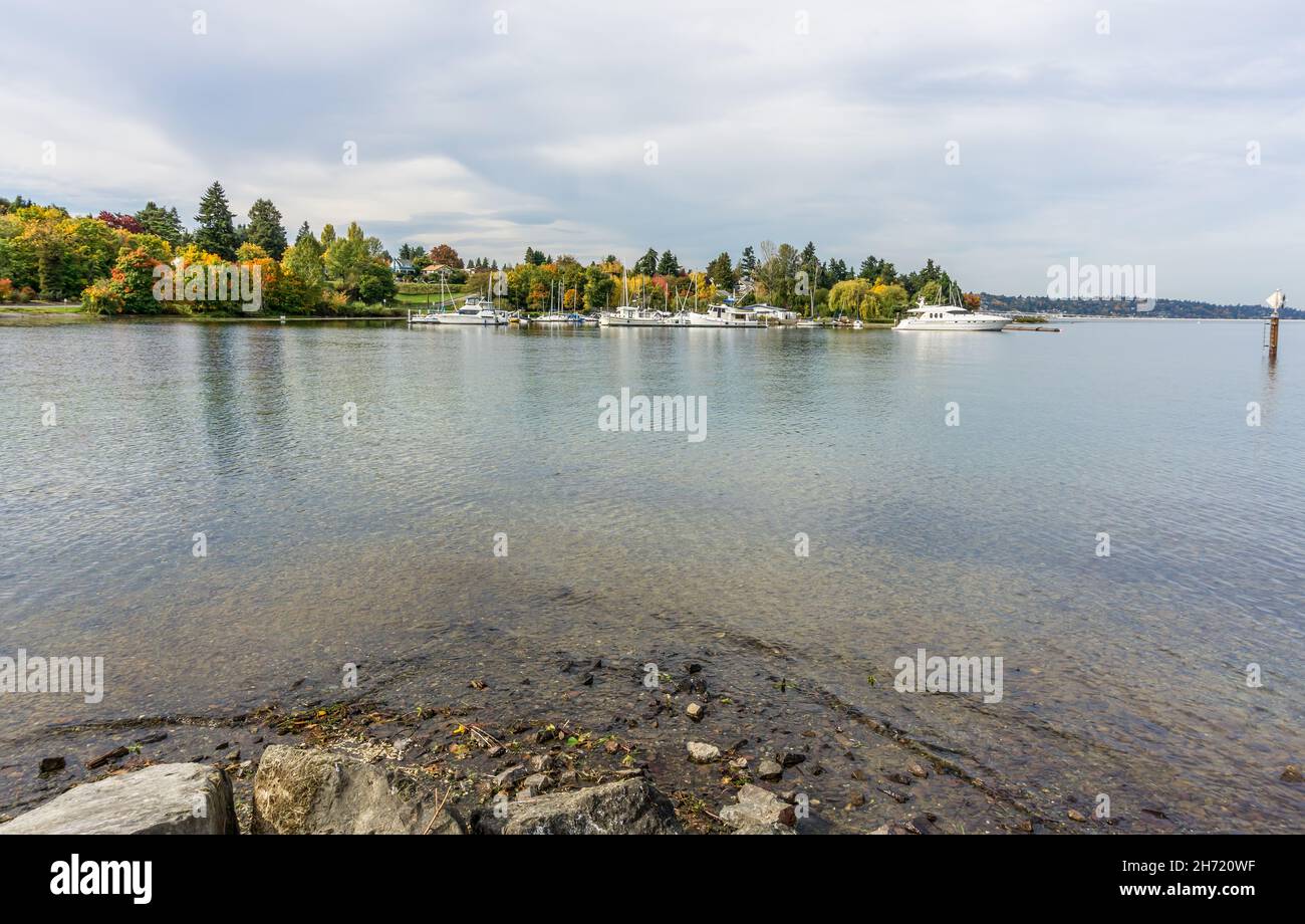 Ein Jachthafen am Lake Wasington und farbenfrohe Herbstbäume in Seattle, Washington. Stockfoto