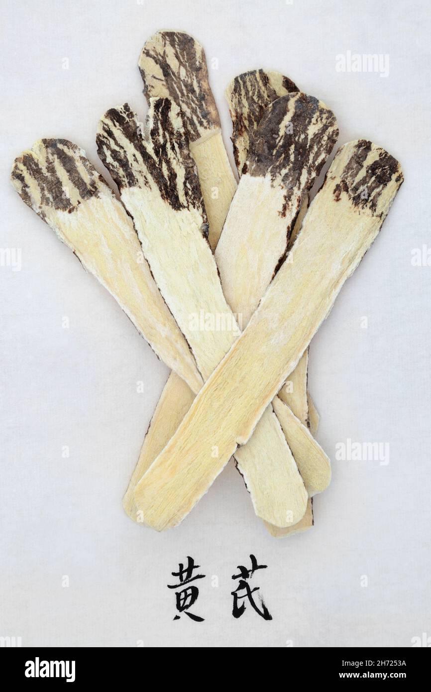 Astragalus Kräuterwurzel mit Kalligraphie Schrift auf Reispapier. Verwendet in der chinesischen Kräutermedizin, um das Immunsystem zu stärken, ist Anti-Aging, entzündungshemmend. Stockfoto