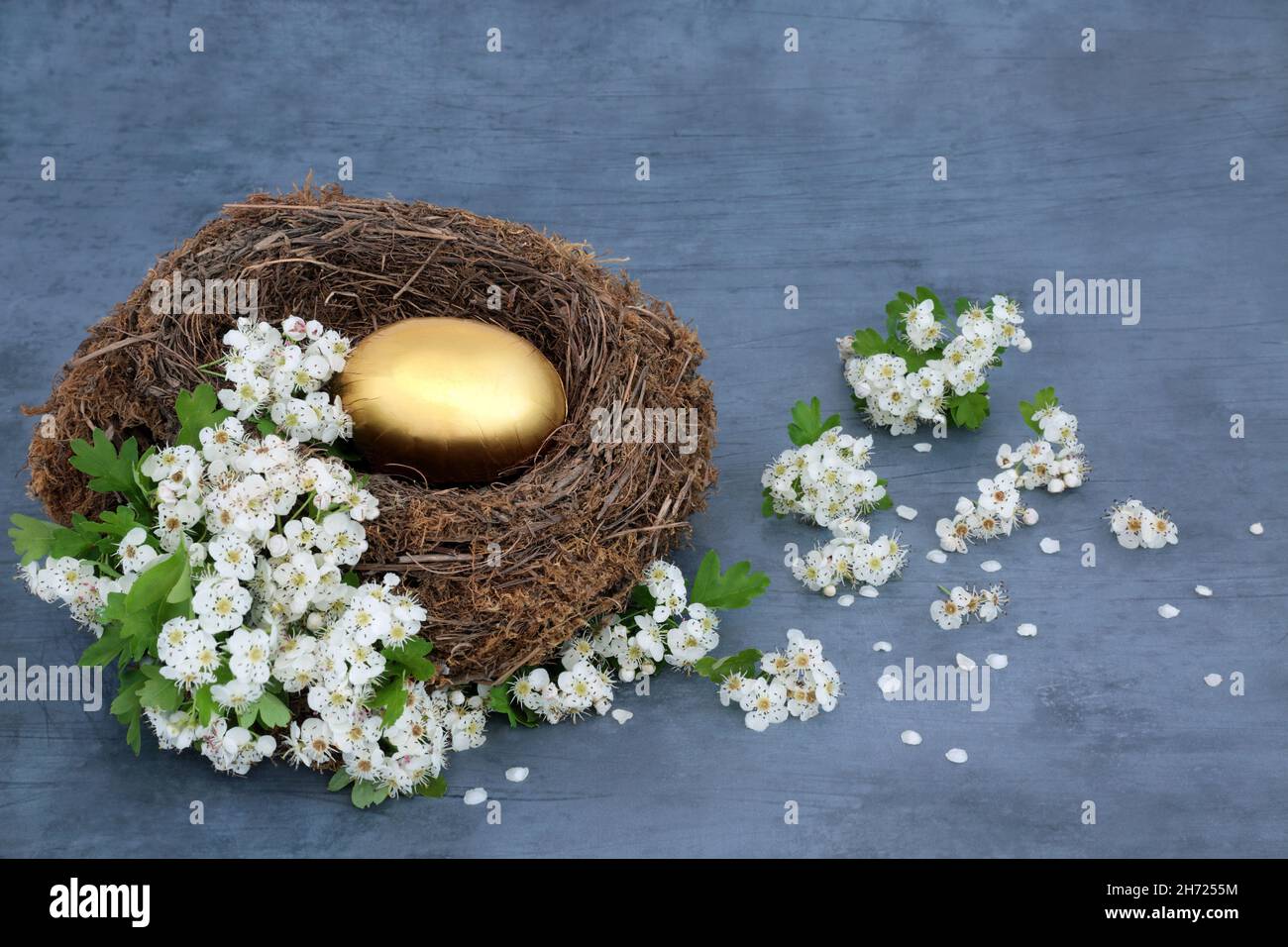 Goldenes Ei in einem natürlichen Vogelnest mit Frühlingshawdornblüte. Spar- und Investitionskonzept für den Ruhestand, langfristige finanzielle Ziele. Stockfoto