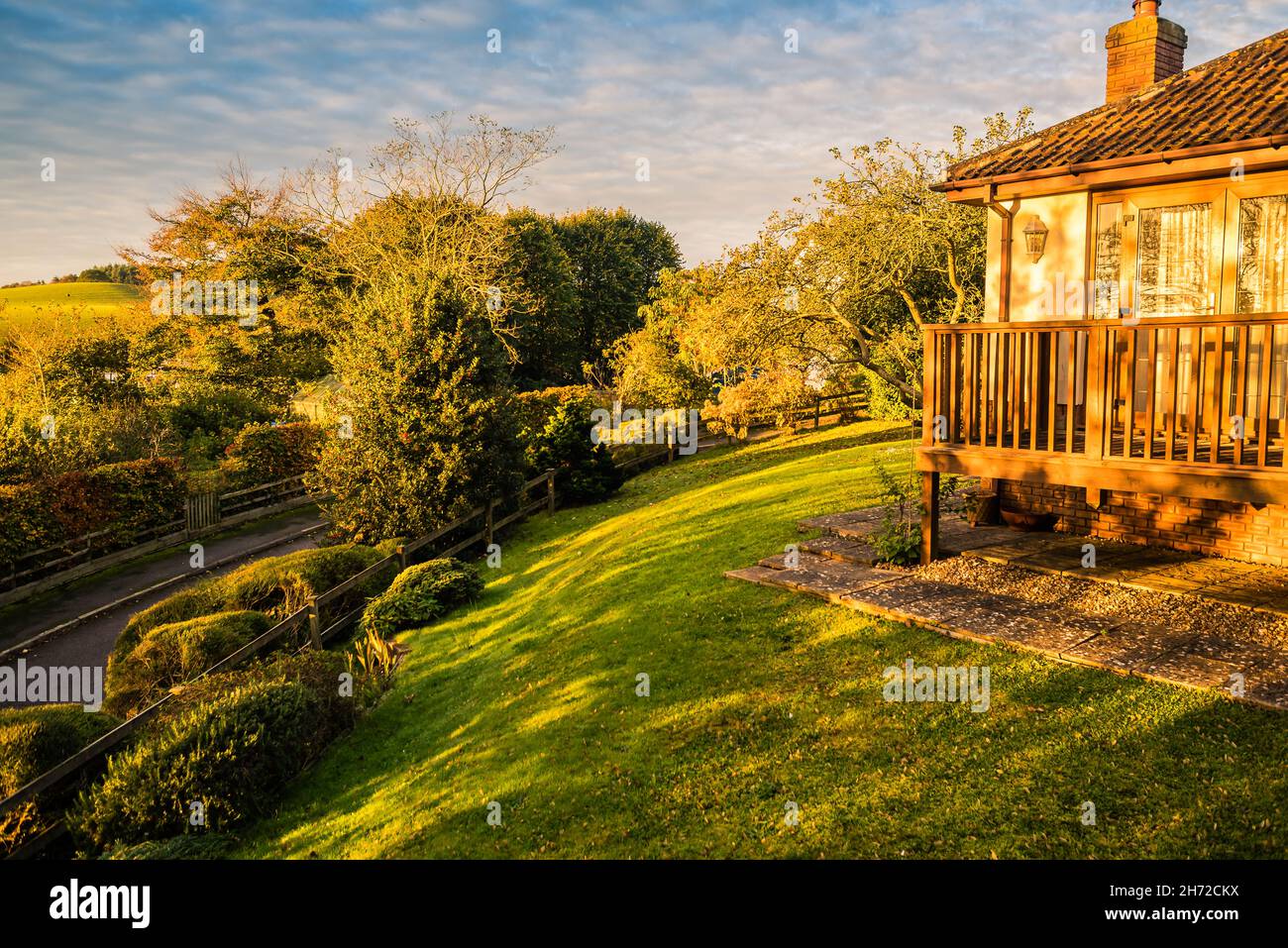Am frühen Morgen im November in einem Devon Country Garden. Stockfoto