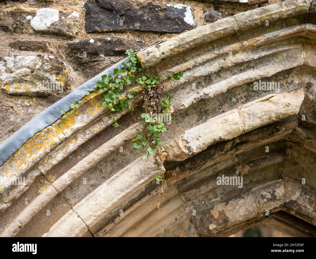 Battle Abbey Stockfoto