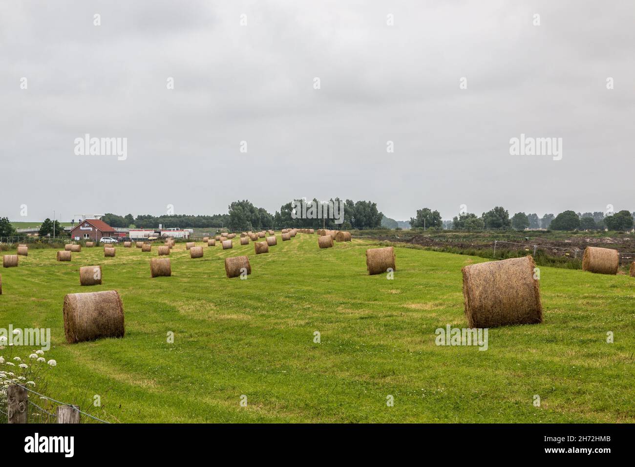Große Wiese mit Heuln rollt mitten auf dem Land Stockfoto