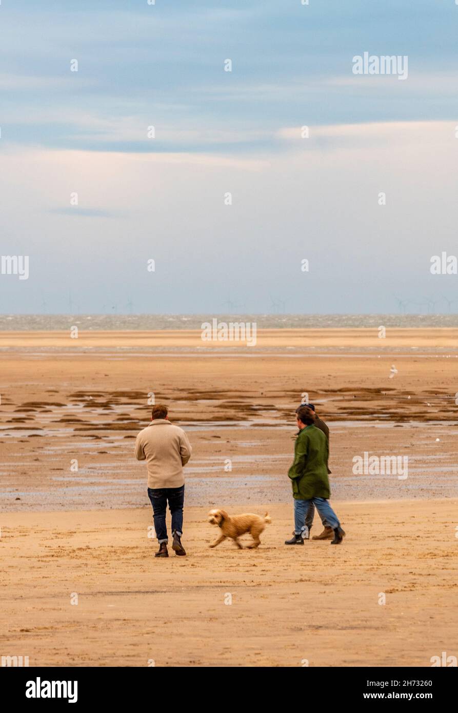 Paar, das einen Hund an einem Sandstrand, norfolk-Strand, Küstenhund, der an der Küste im Norden norfolks spazieren geht, Wanderhund an der sandigen Küste. Stockfoto