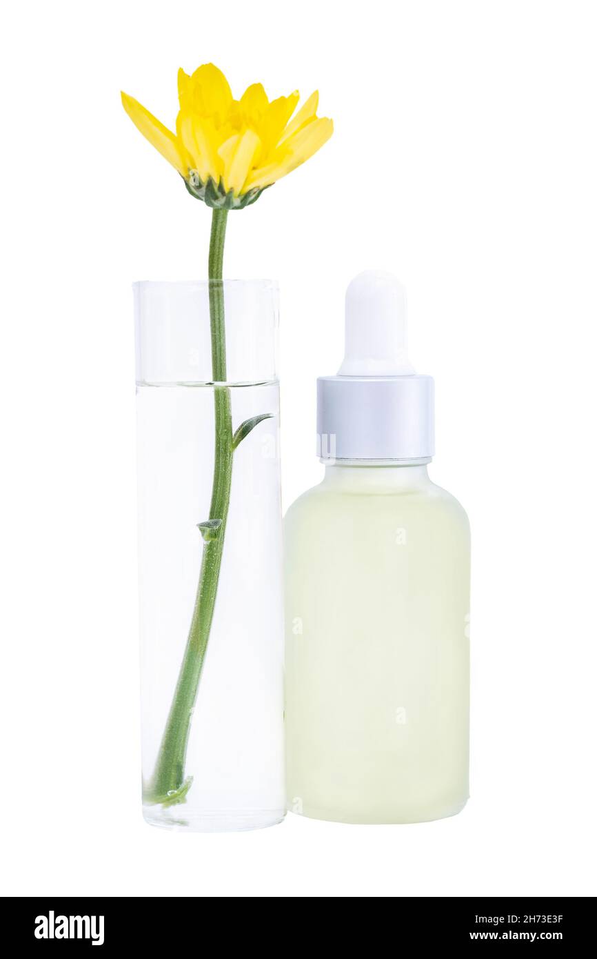 Flasche mit Pipette und Blume im Reagenzglas isoliert auf weißem Hintergrund Stockfoto