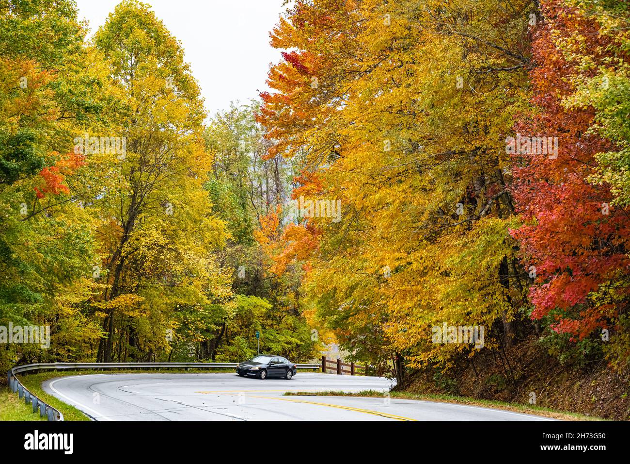 Landschaftlich reizvolle Herbstfahrt in den Northeast Georgia Mountains an der Grenze zu North Carolina zwischen Dillard, GA, und Highlands, NC, nahe Sky Valley. (USA) Stockfoto