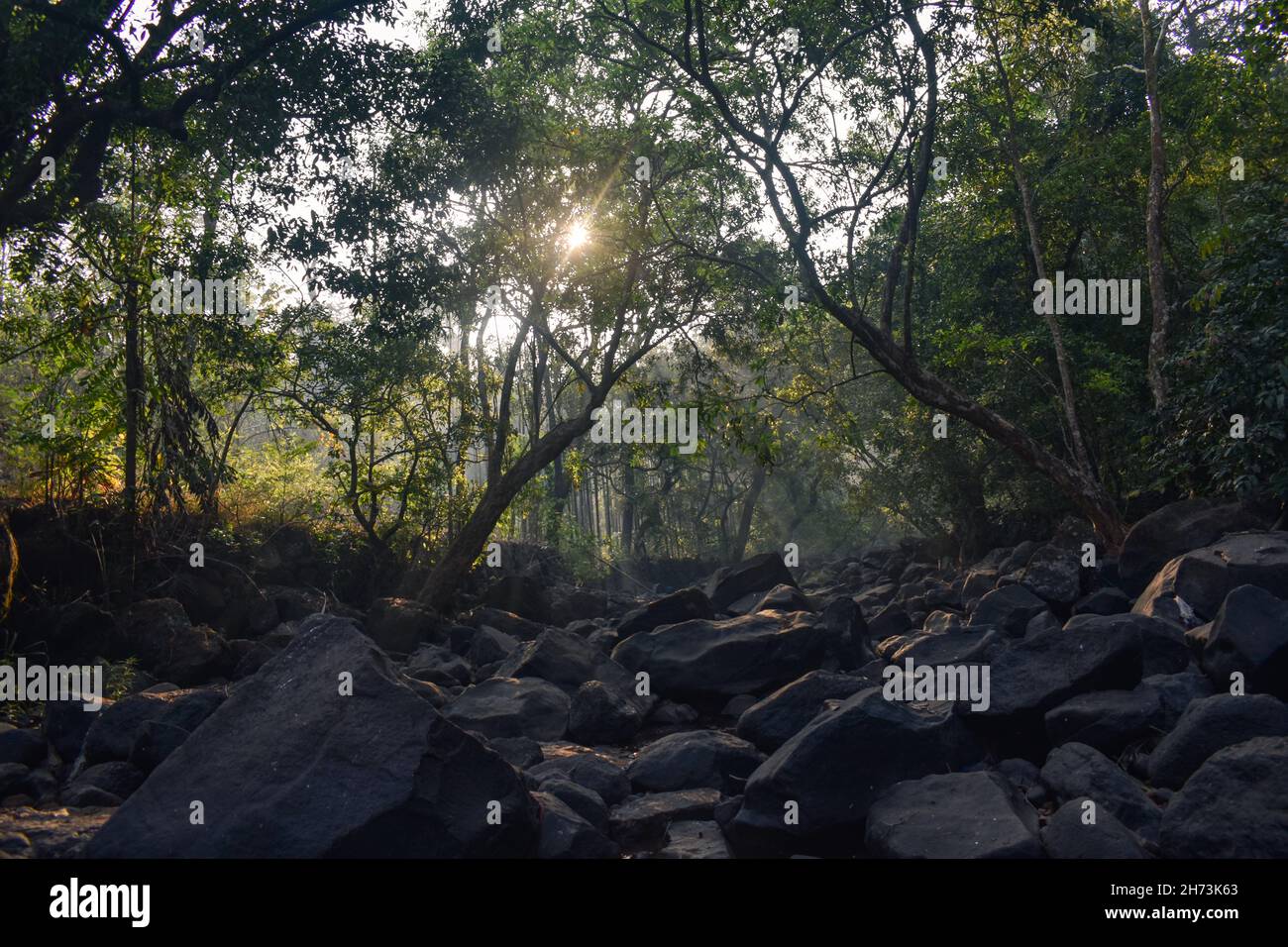 Getrockneter felsiger Bach mit Sonnenstrahlen, die durch das Baumkronendach des Waldes glitzern Stockfoto