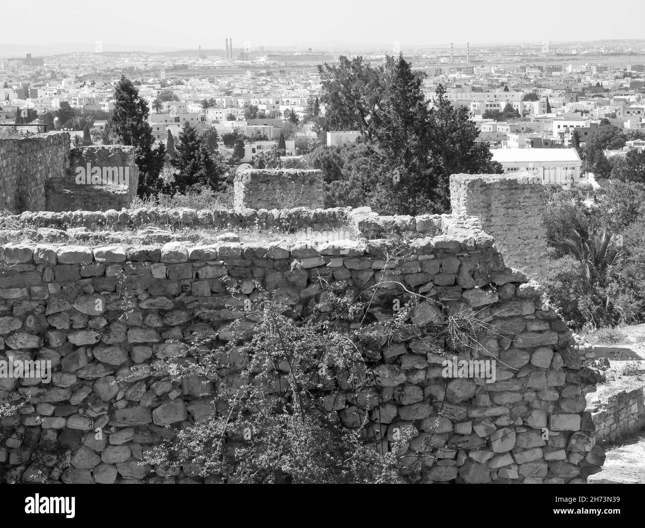 Die Stadt Tunis in Afrika Stockfoto